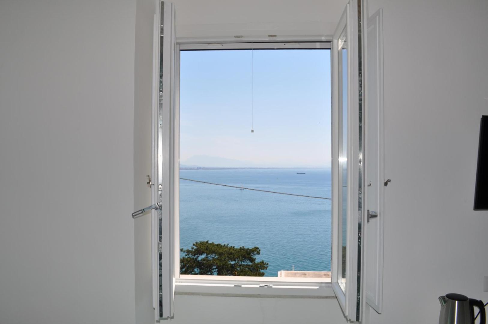 B&B FISH view 4