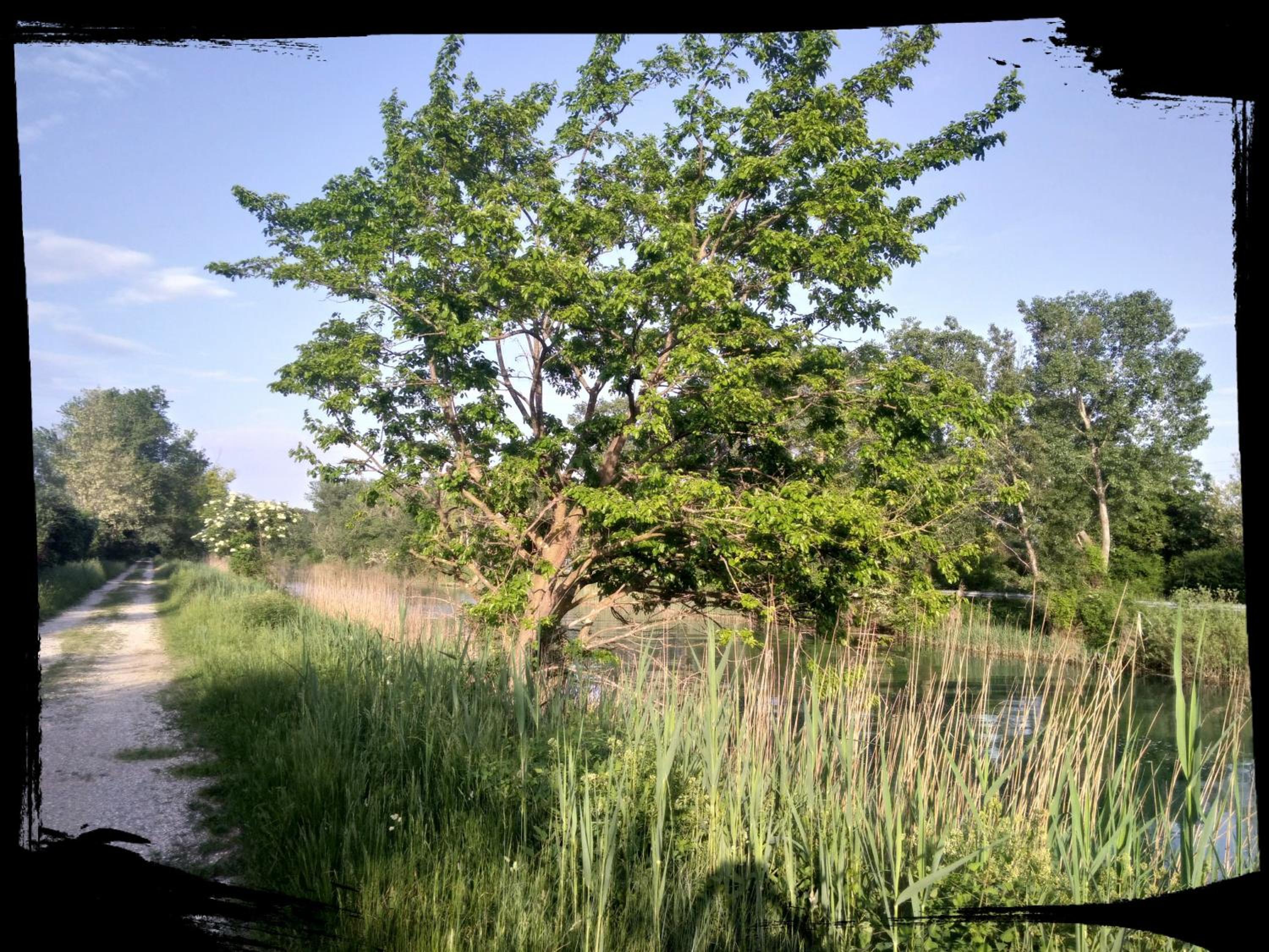 Photo 22