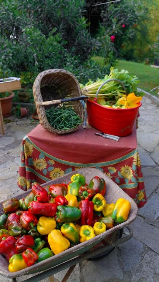 suite in cascina affittacamere