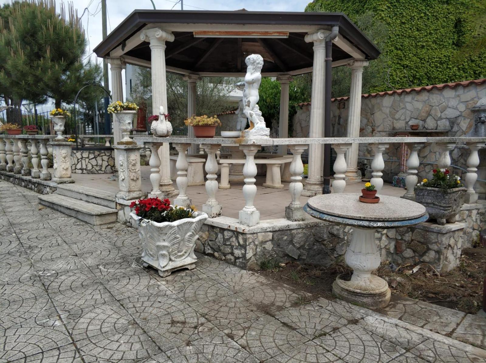 Oasi nel verde view 5