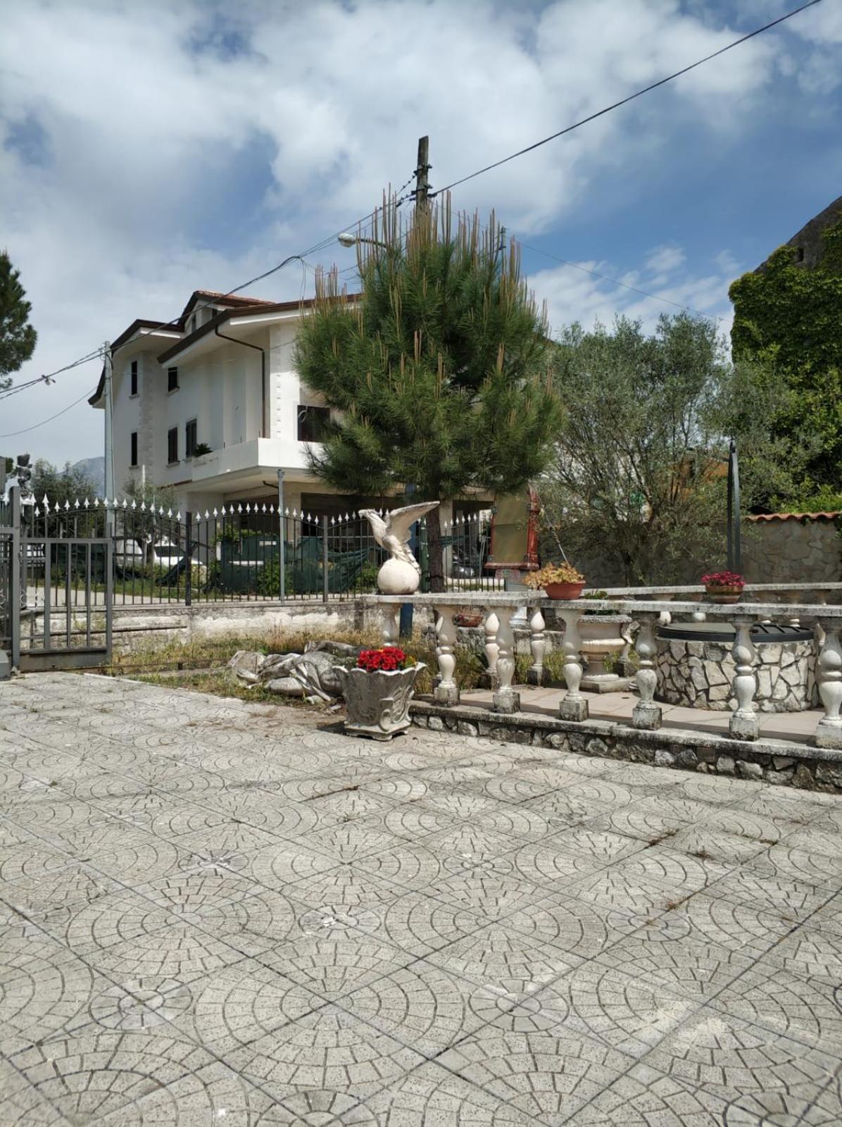 Photo 9
