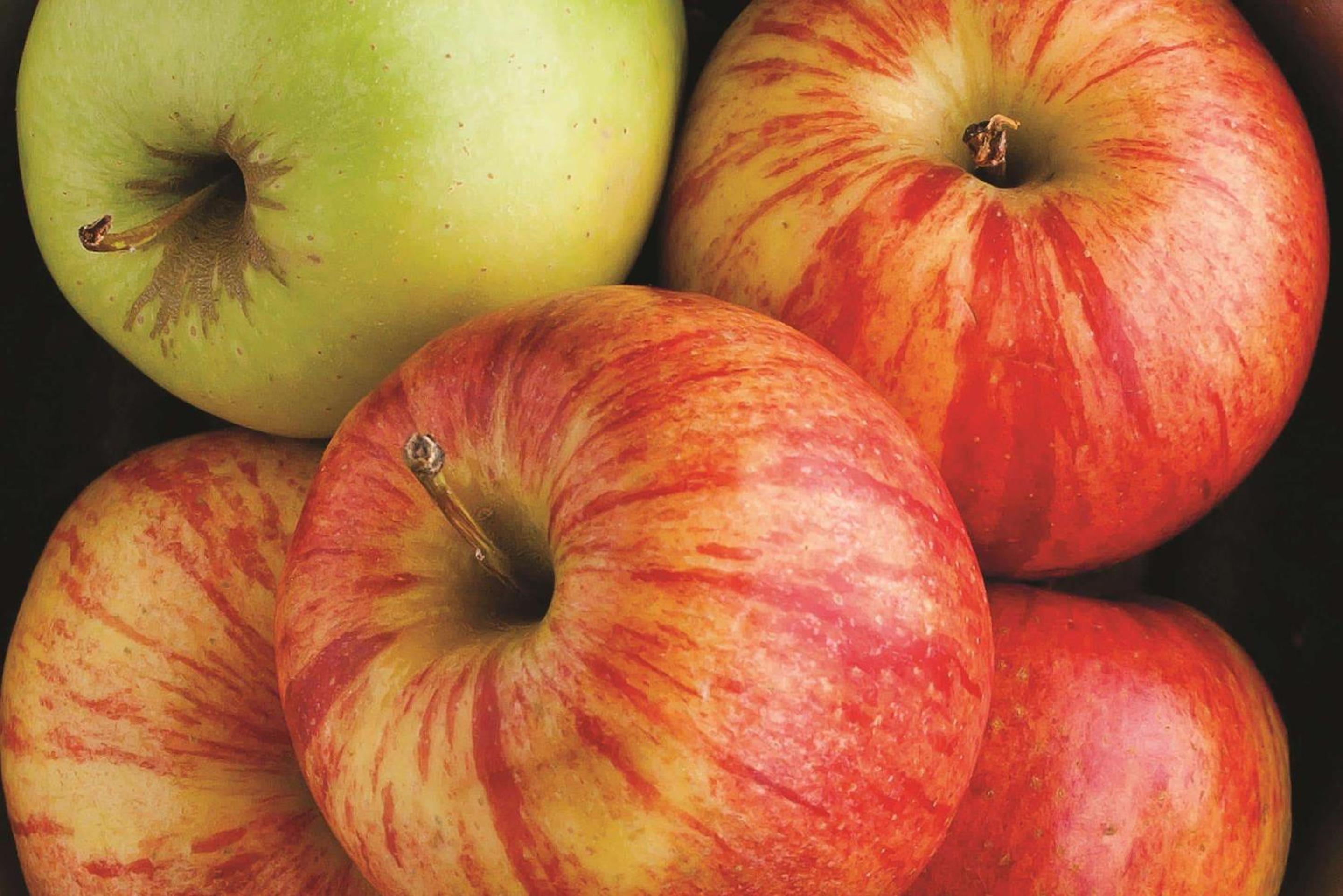 Kanab Vacations - La Quinta by Wyndham Kanab - Property Image 17