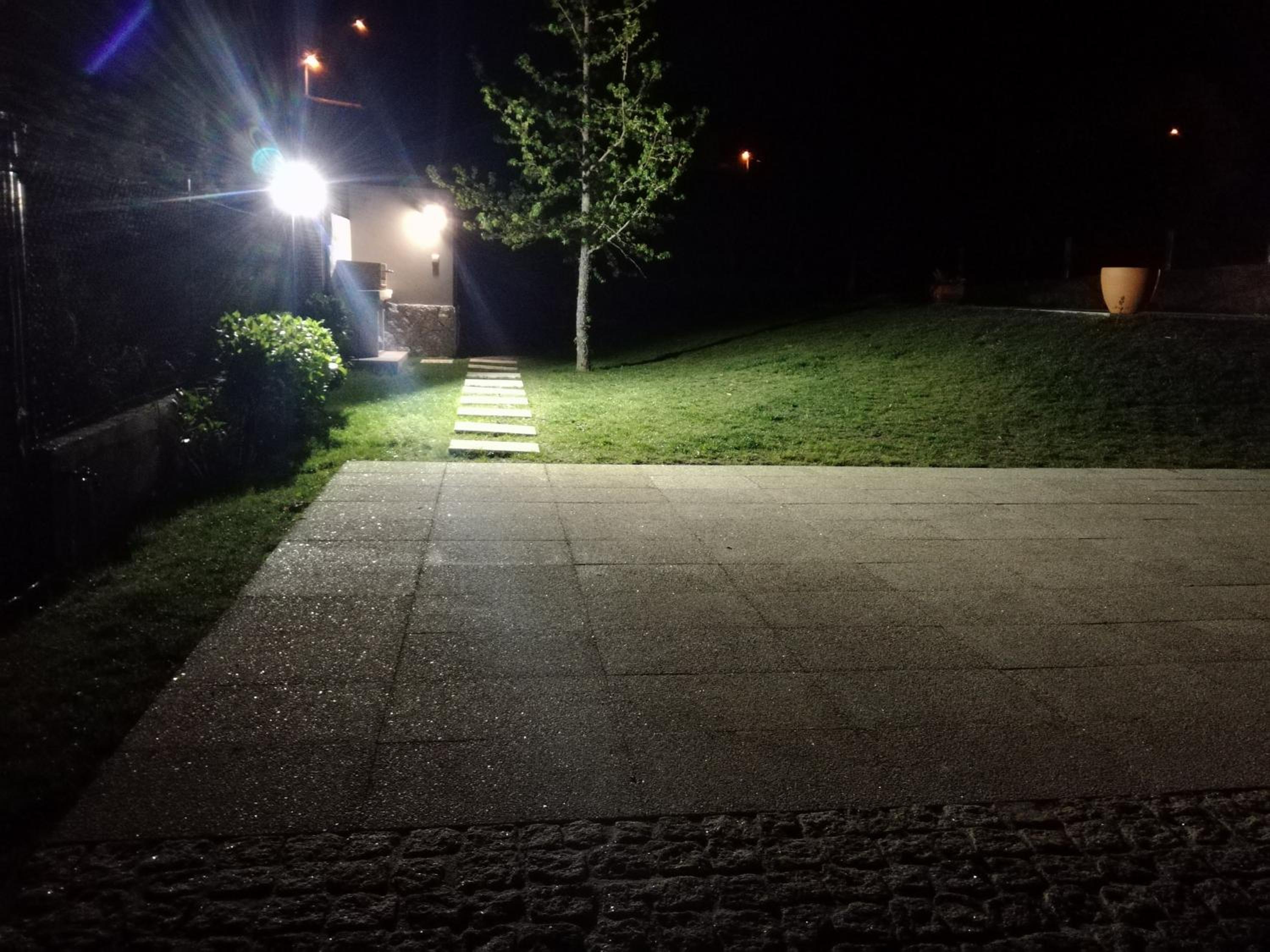 Photo 41