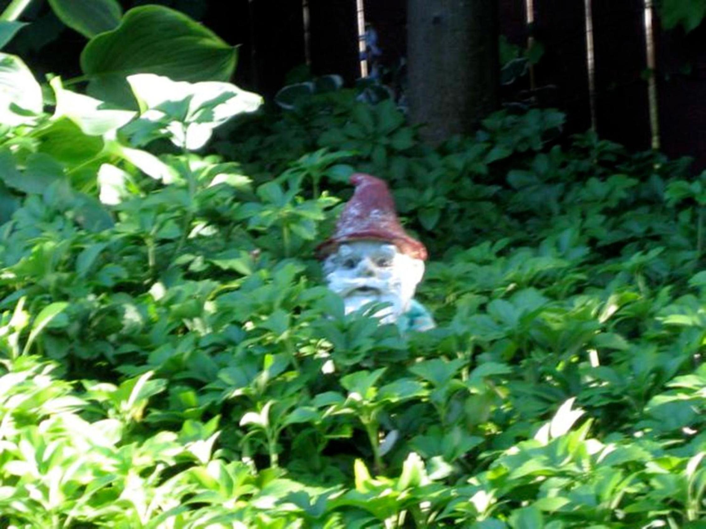 Canterbury Inn - Property Image 34