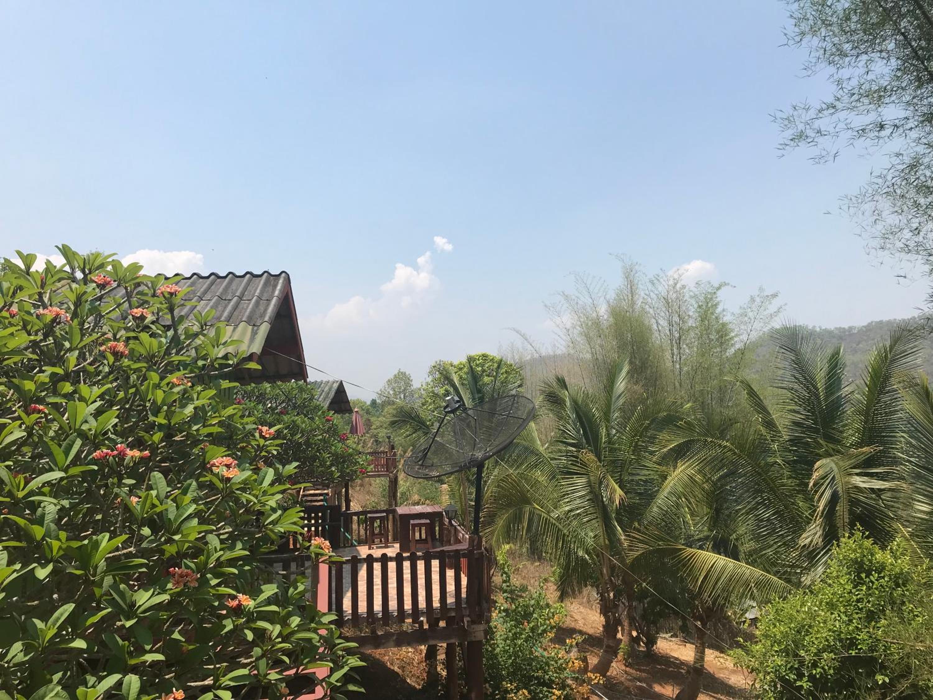Forest Guesthouse
