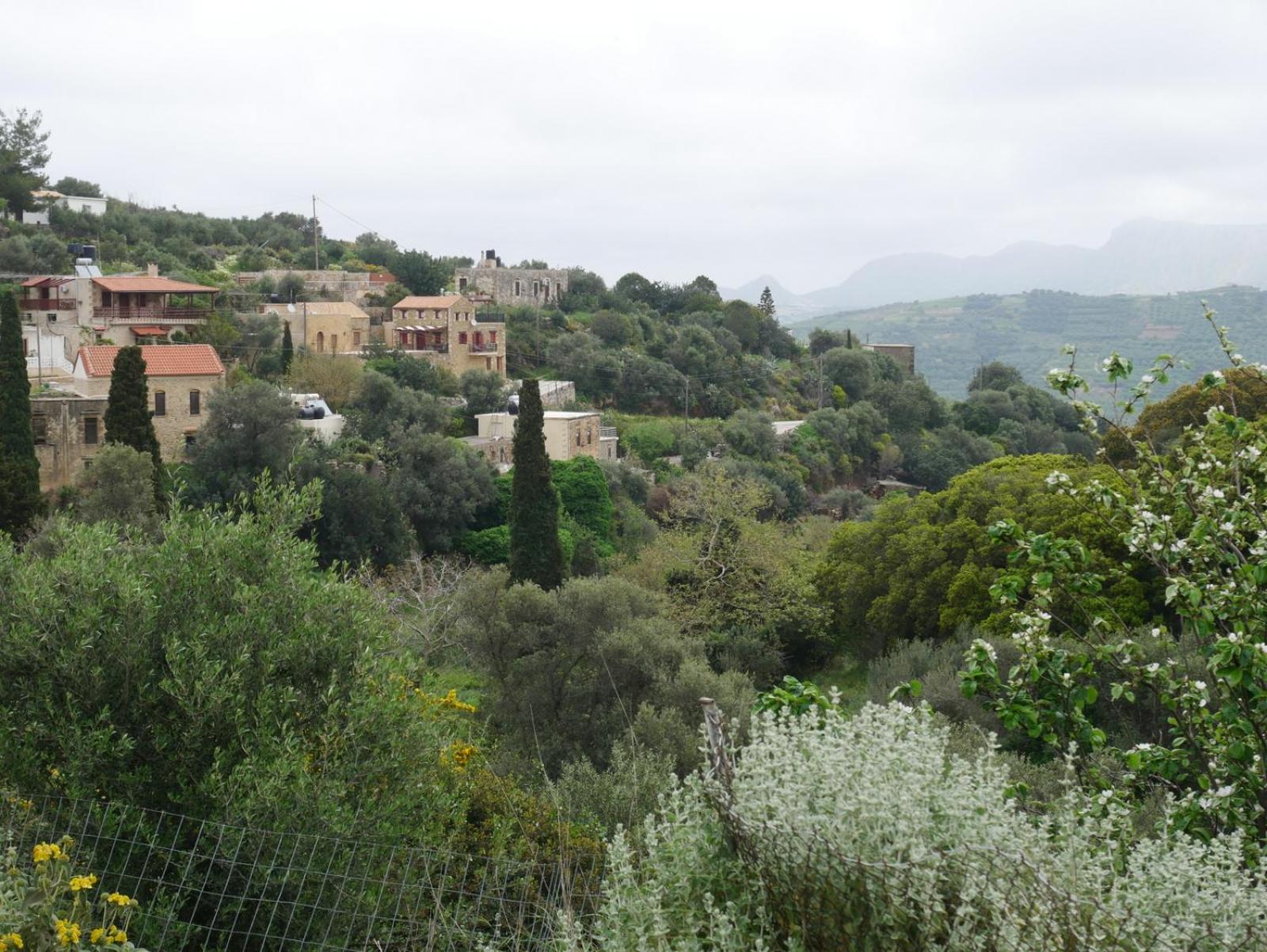 Tsikalaria Traditional Stone House
