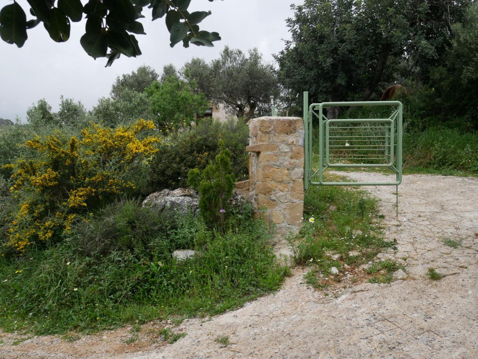 Photo 16