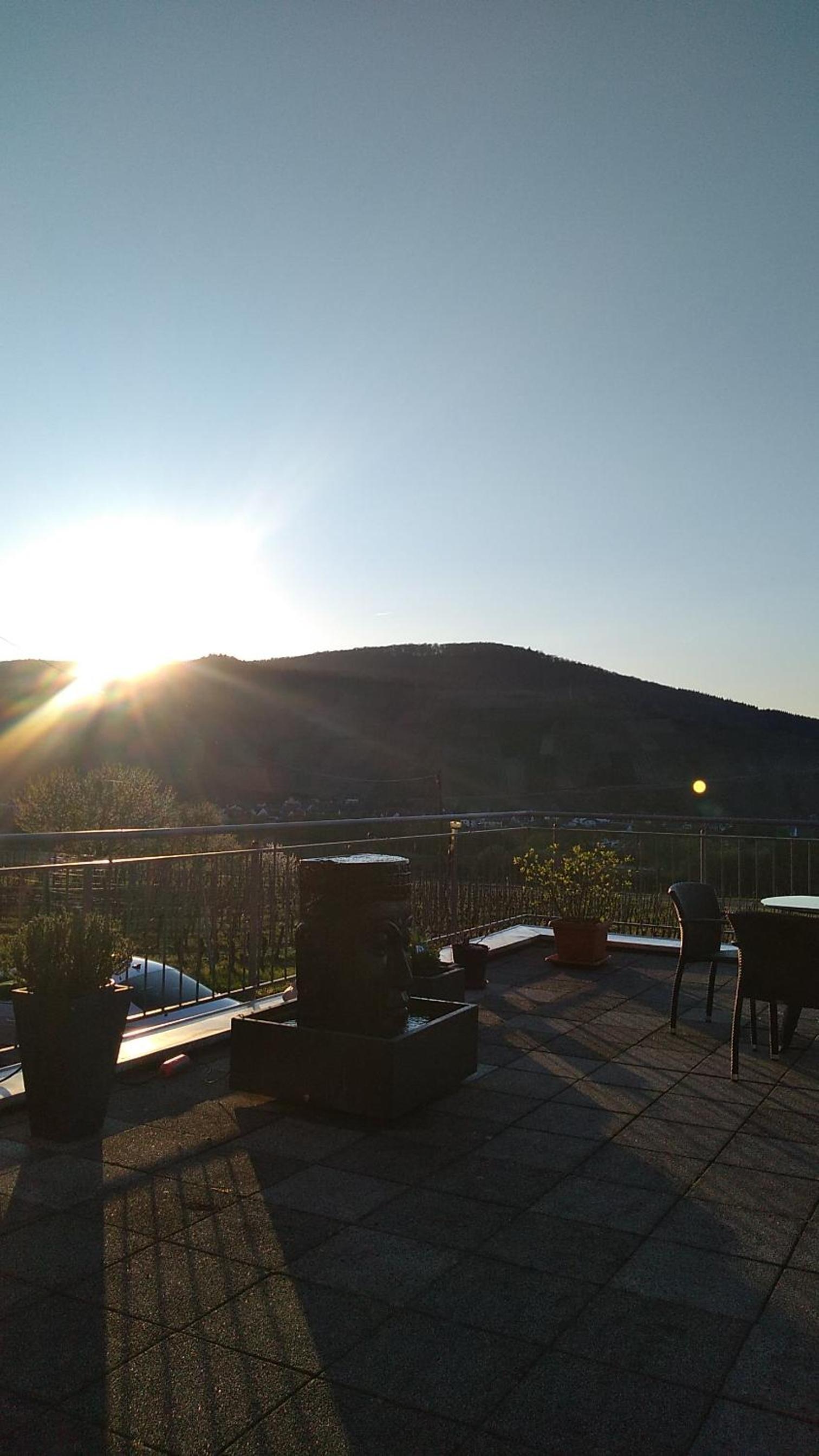 Weingut Tiliahof