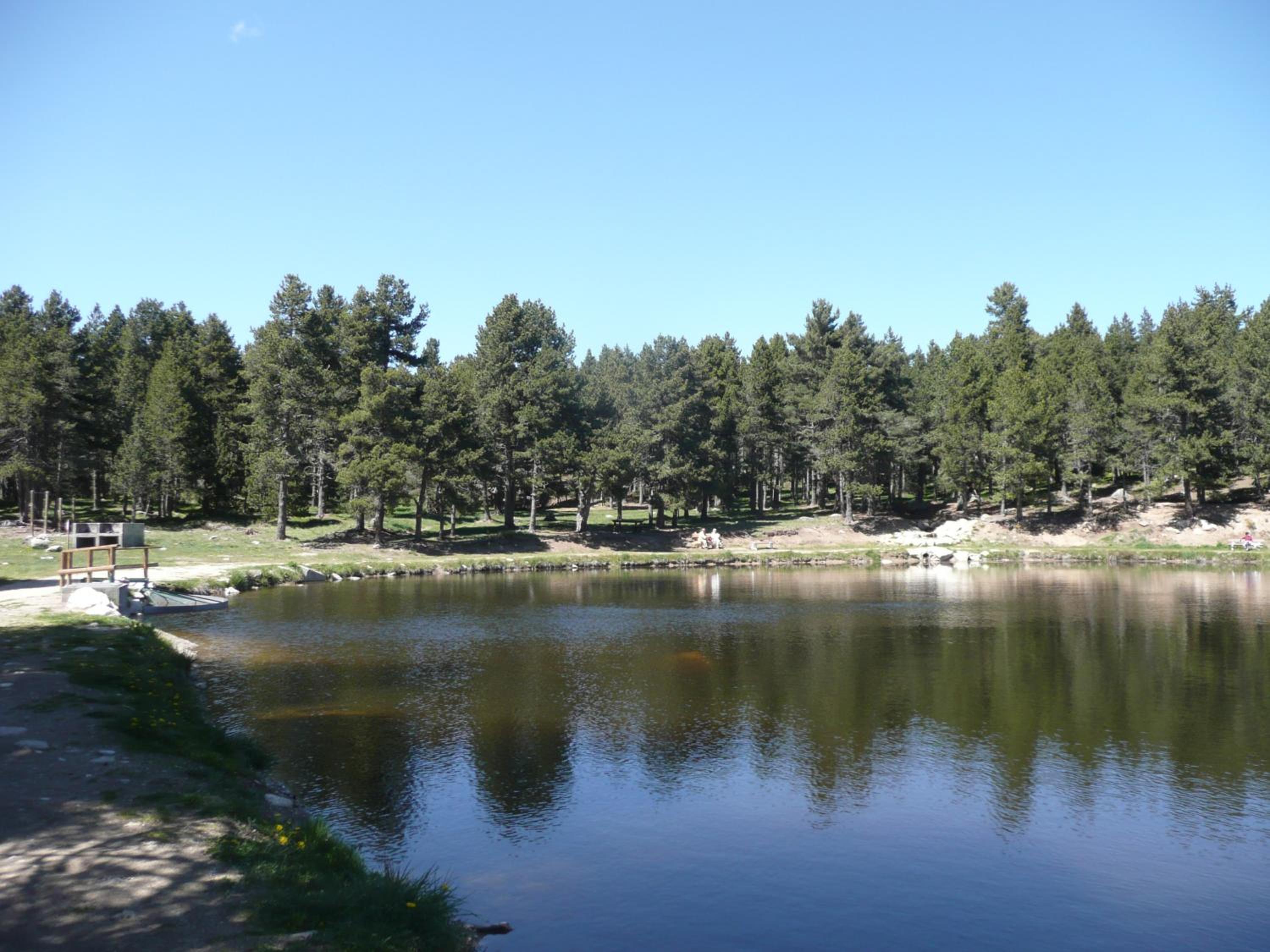 Photo 19