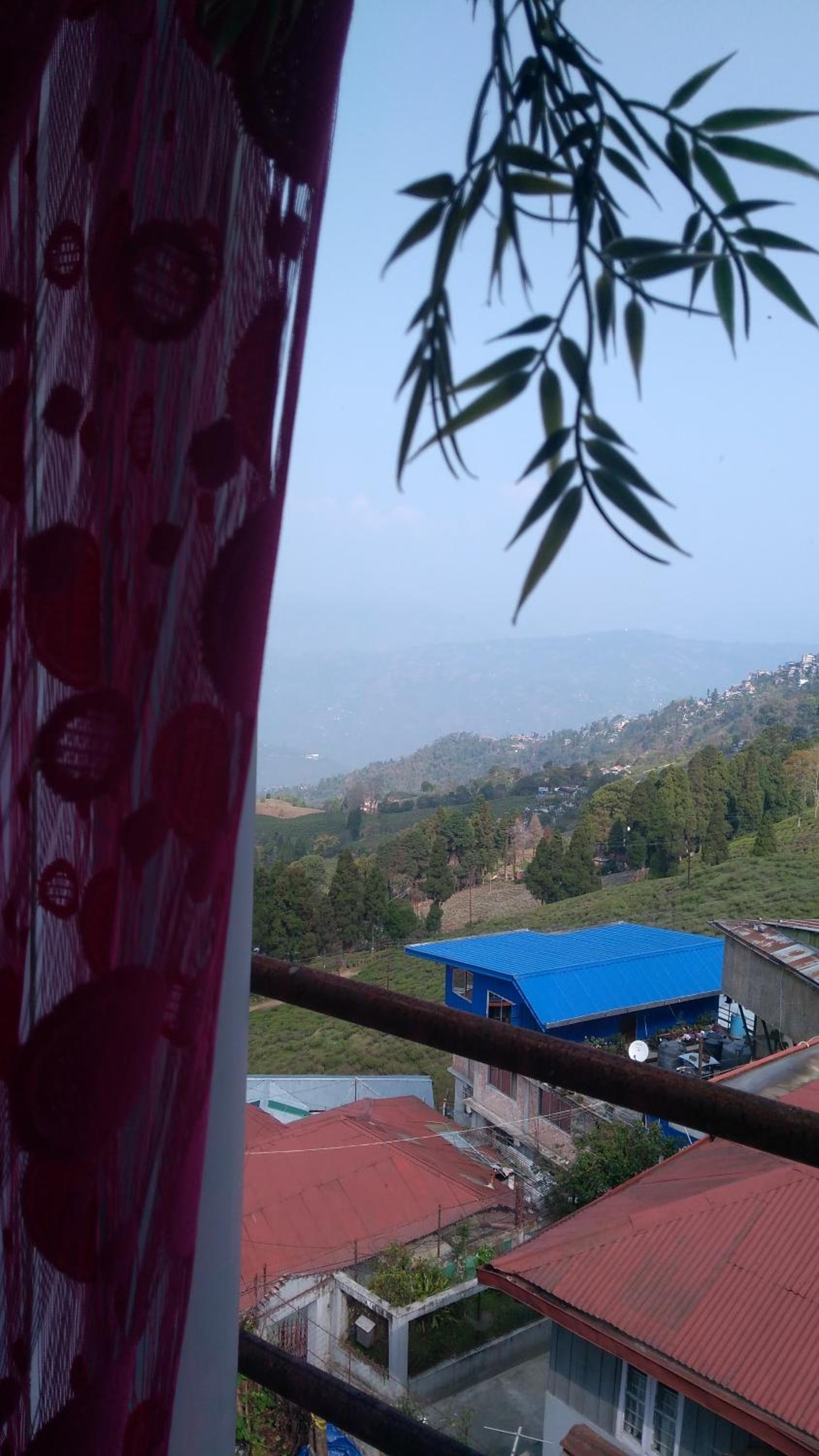 Yashita Homestay