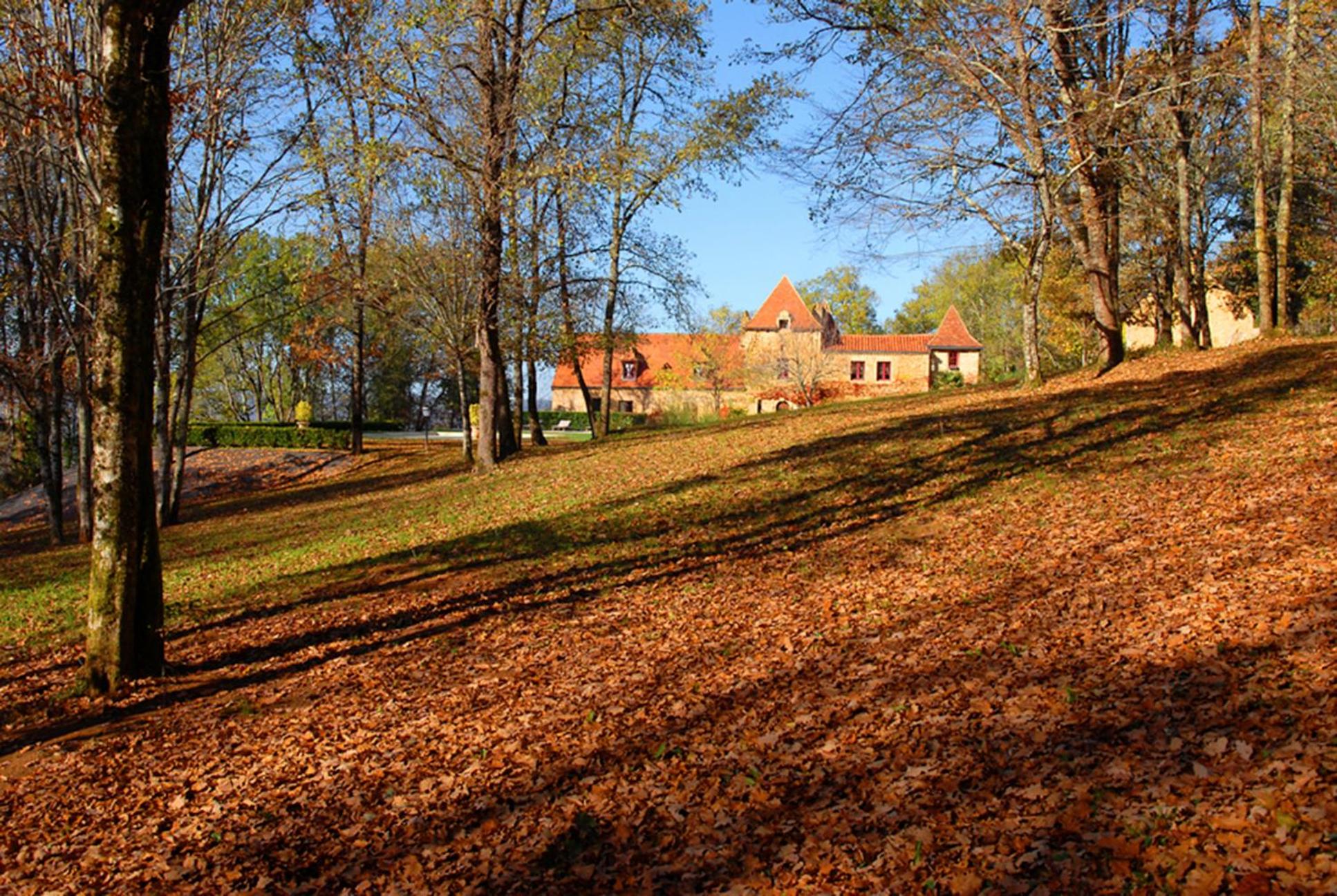 Photo 26