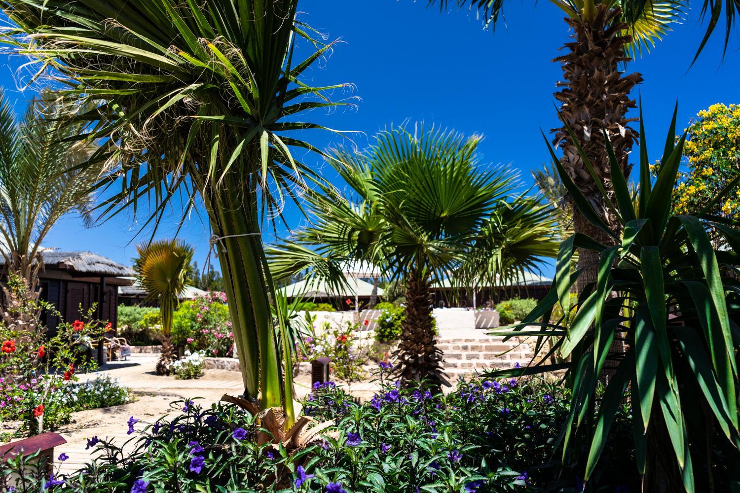 Abu Dabbab Lodge