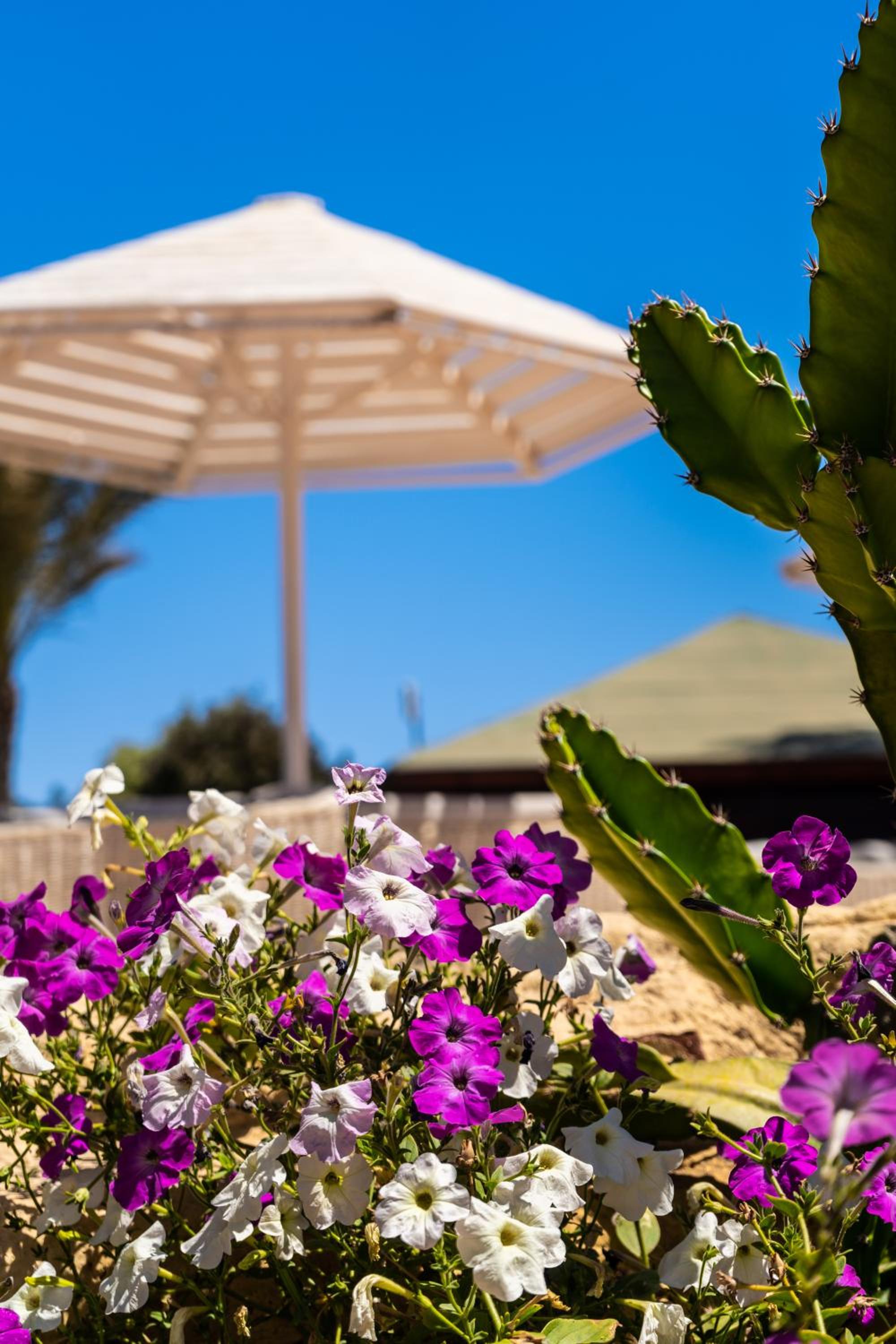 Abu Dabbab Lodge