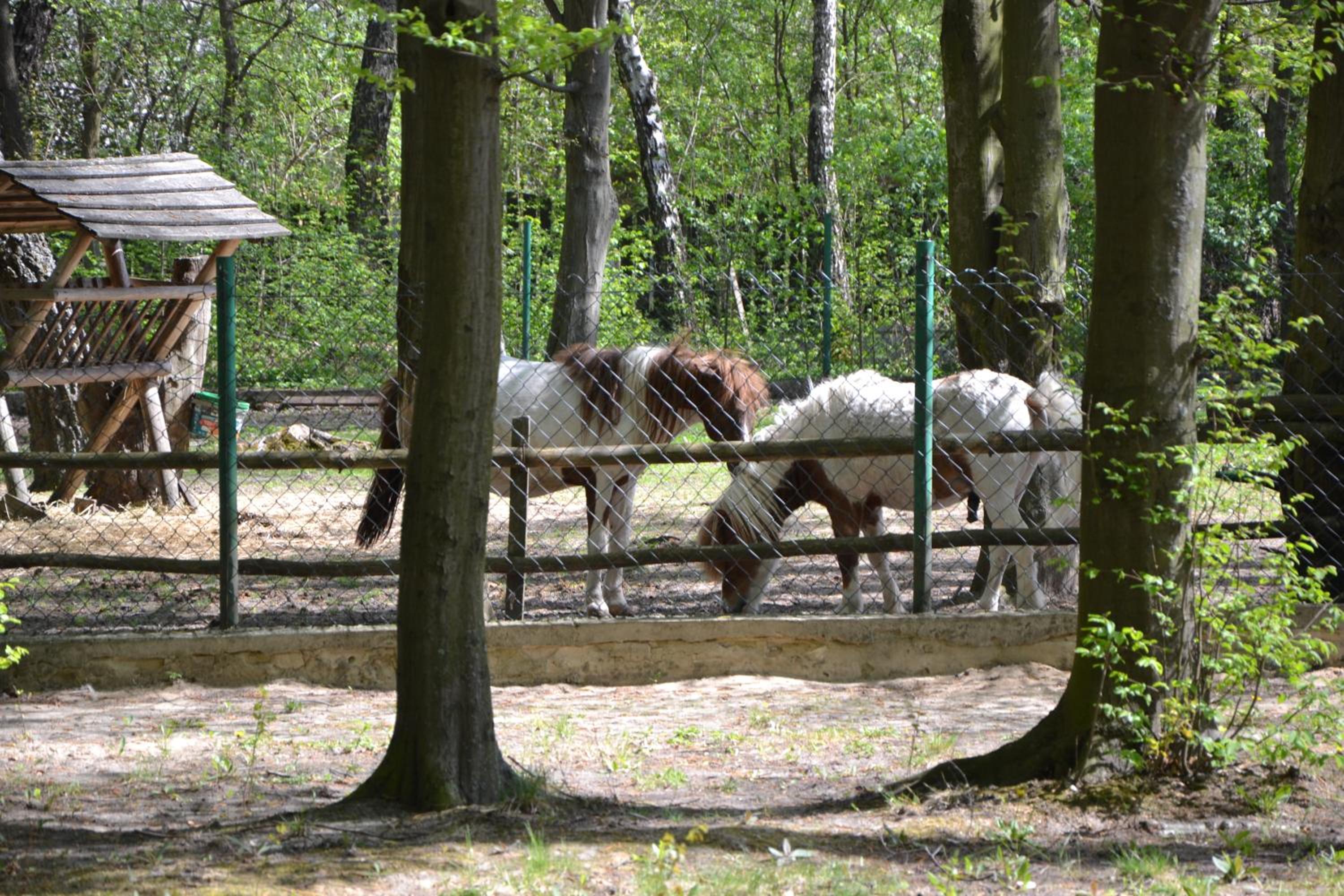 children's play area