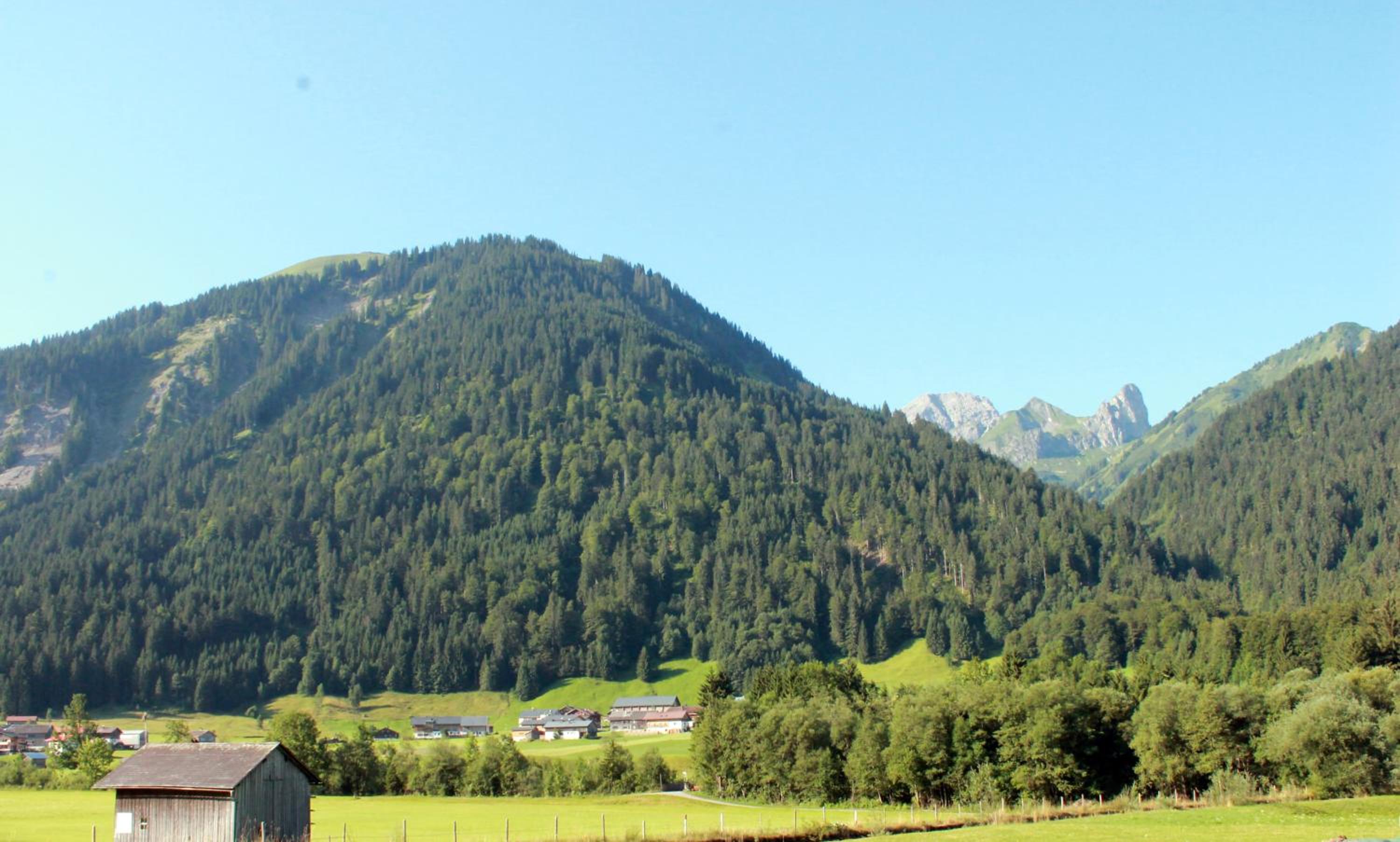 Photo 12