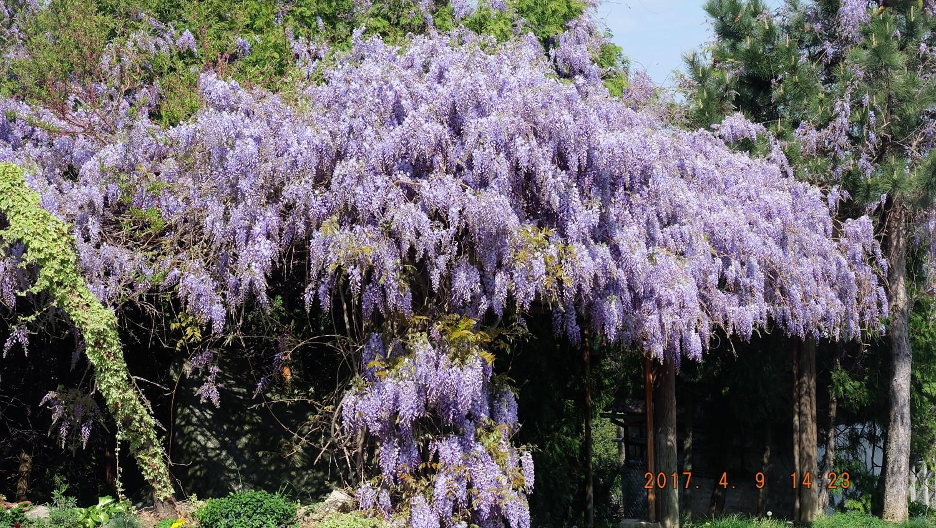 Photo 20