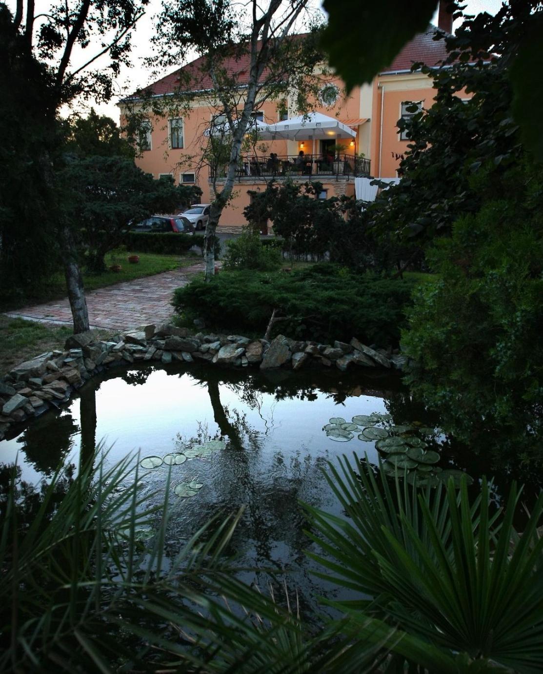 Photo 50