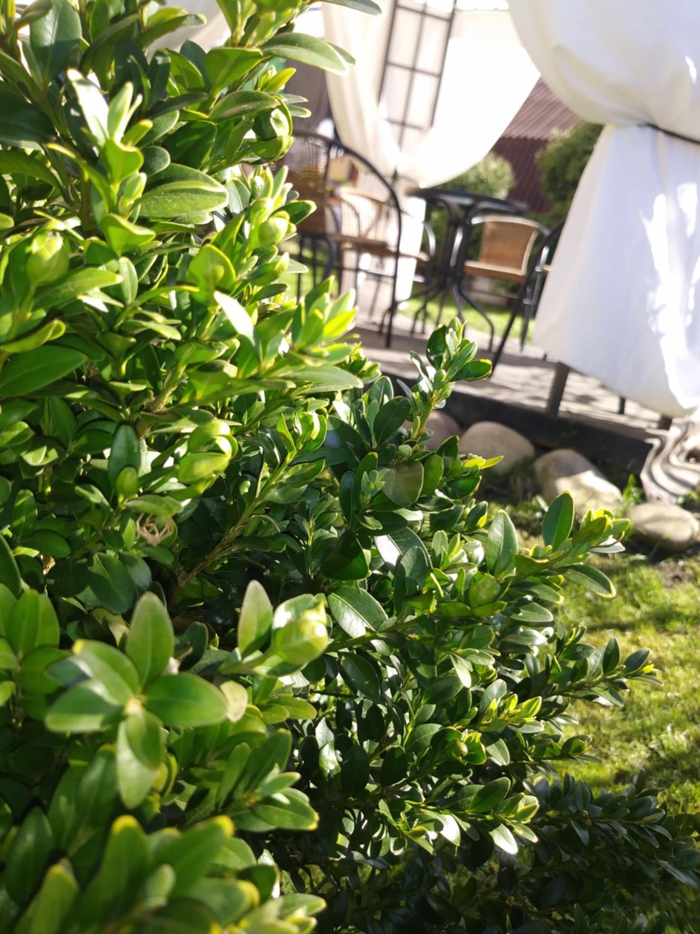 Photo 17