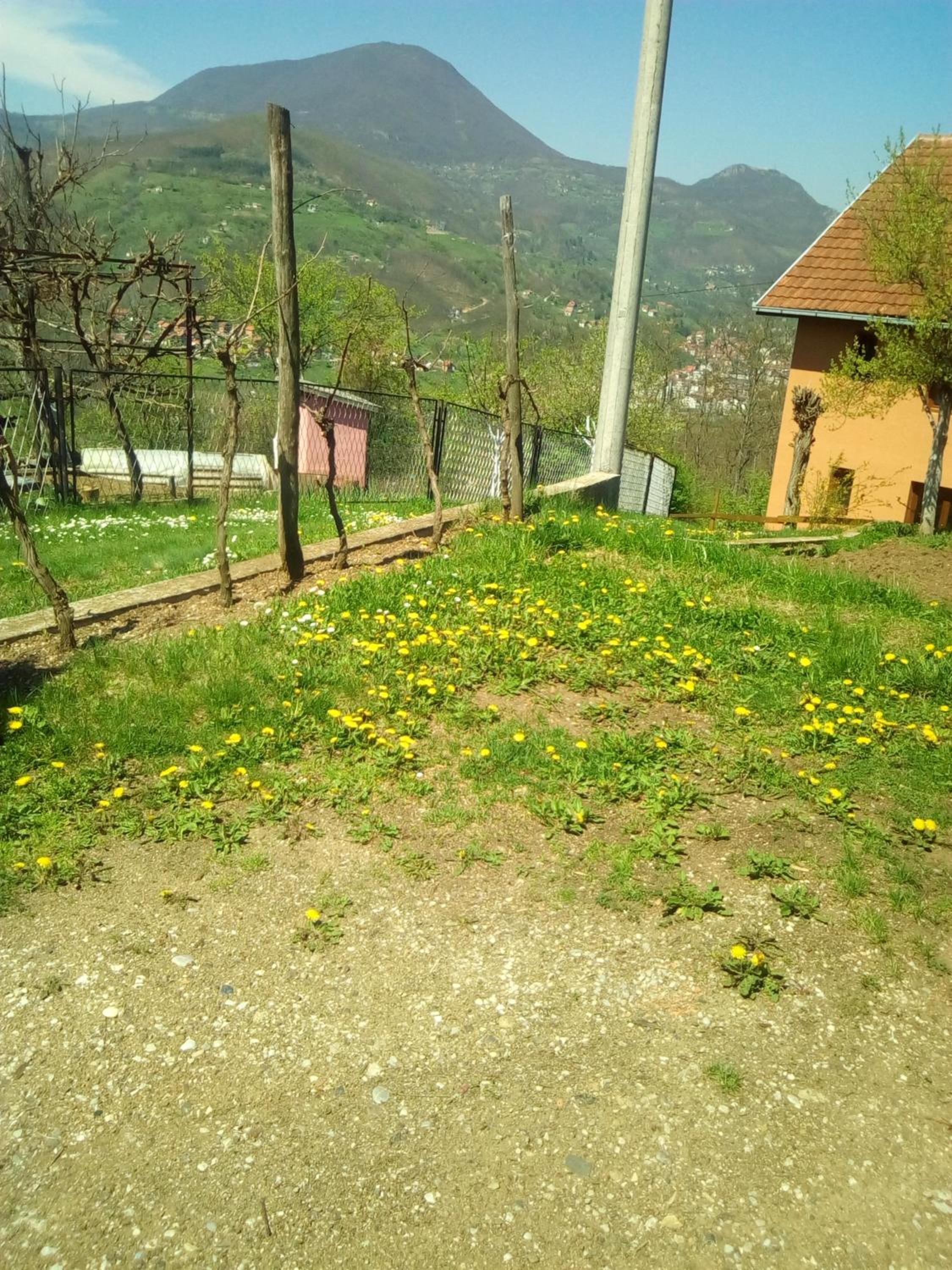 Photo 35
