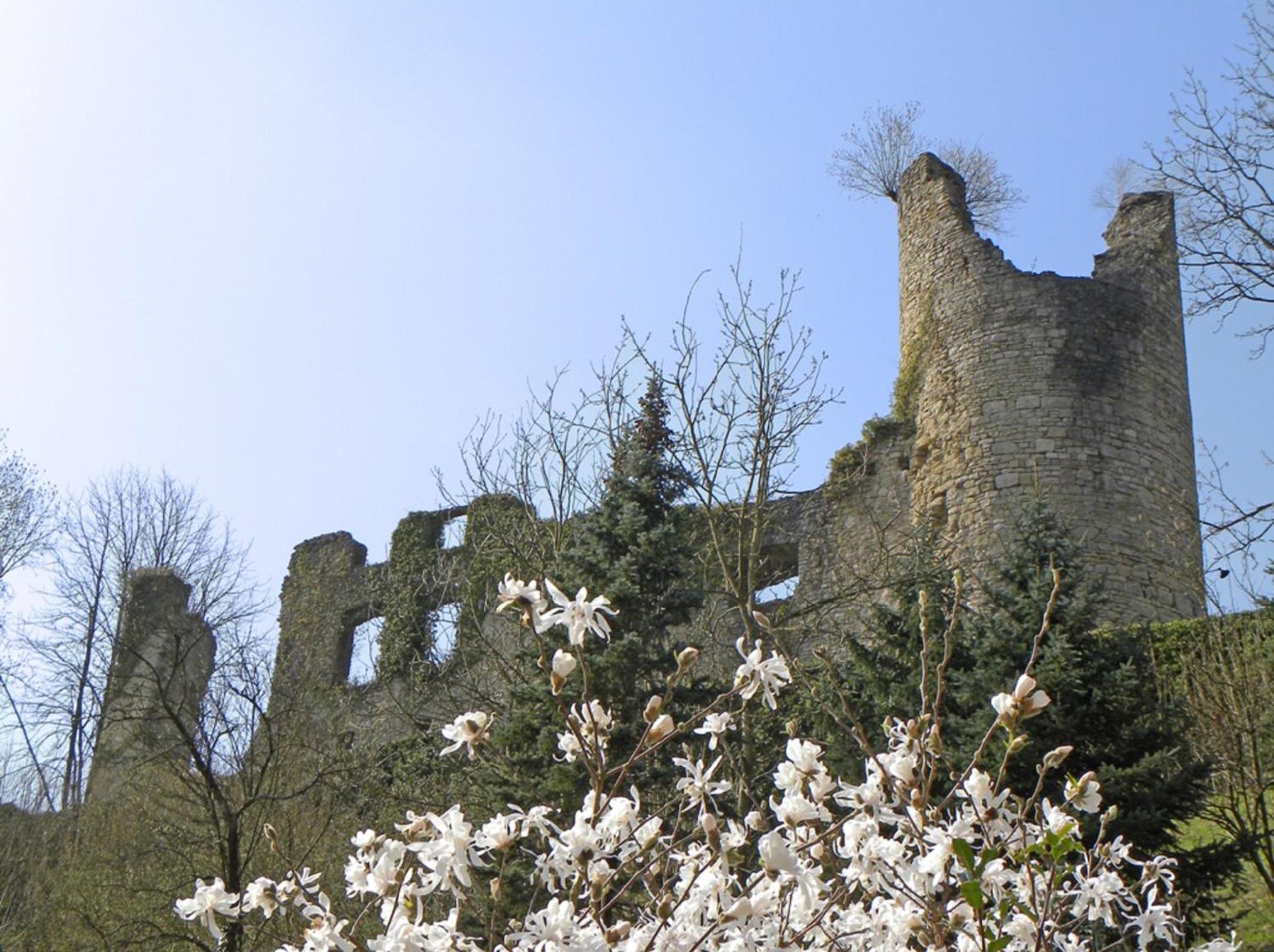 Photo 14
