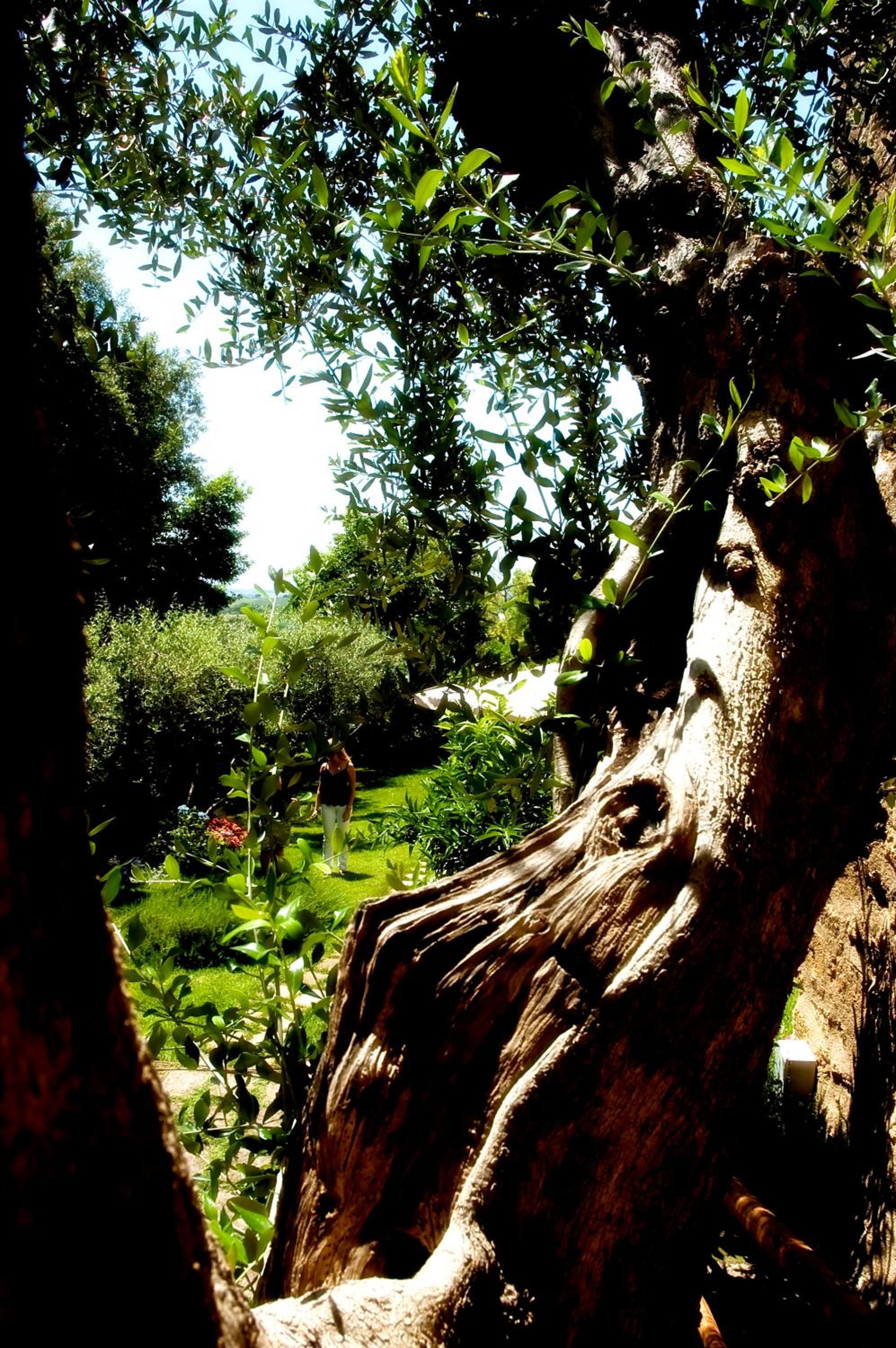 Locanda Delle Mura Anna De Croy