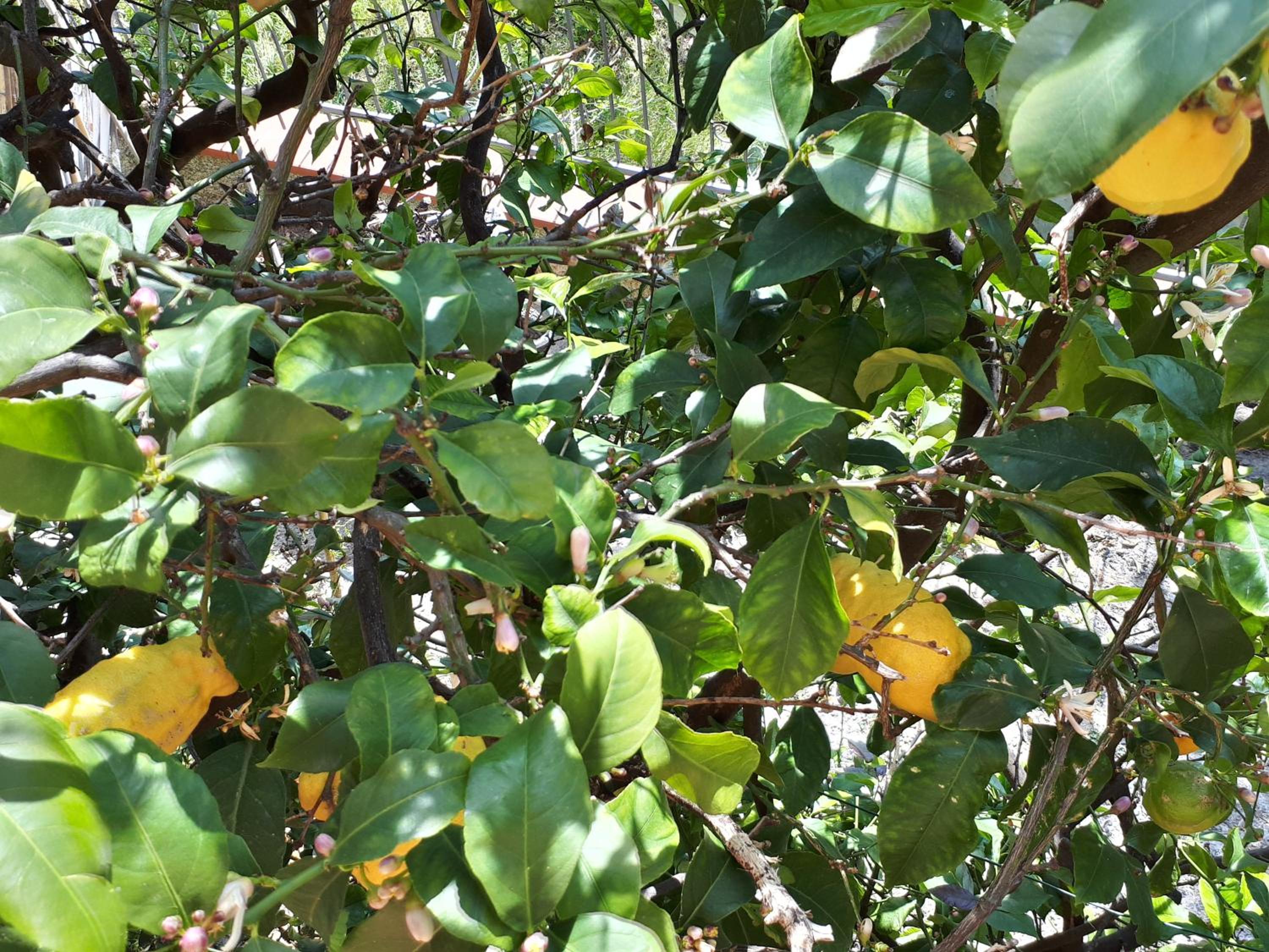 Photo 15