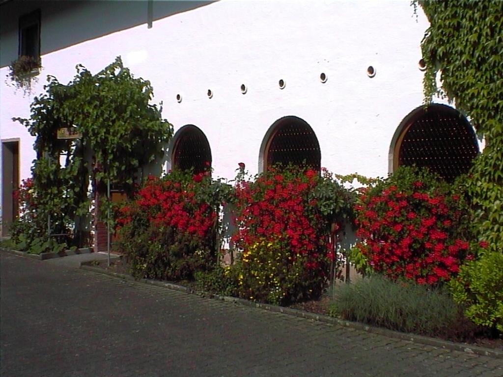Weingut Arnold Pauly view 3
