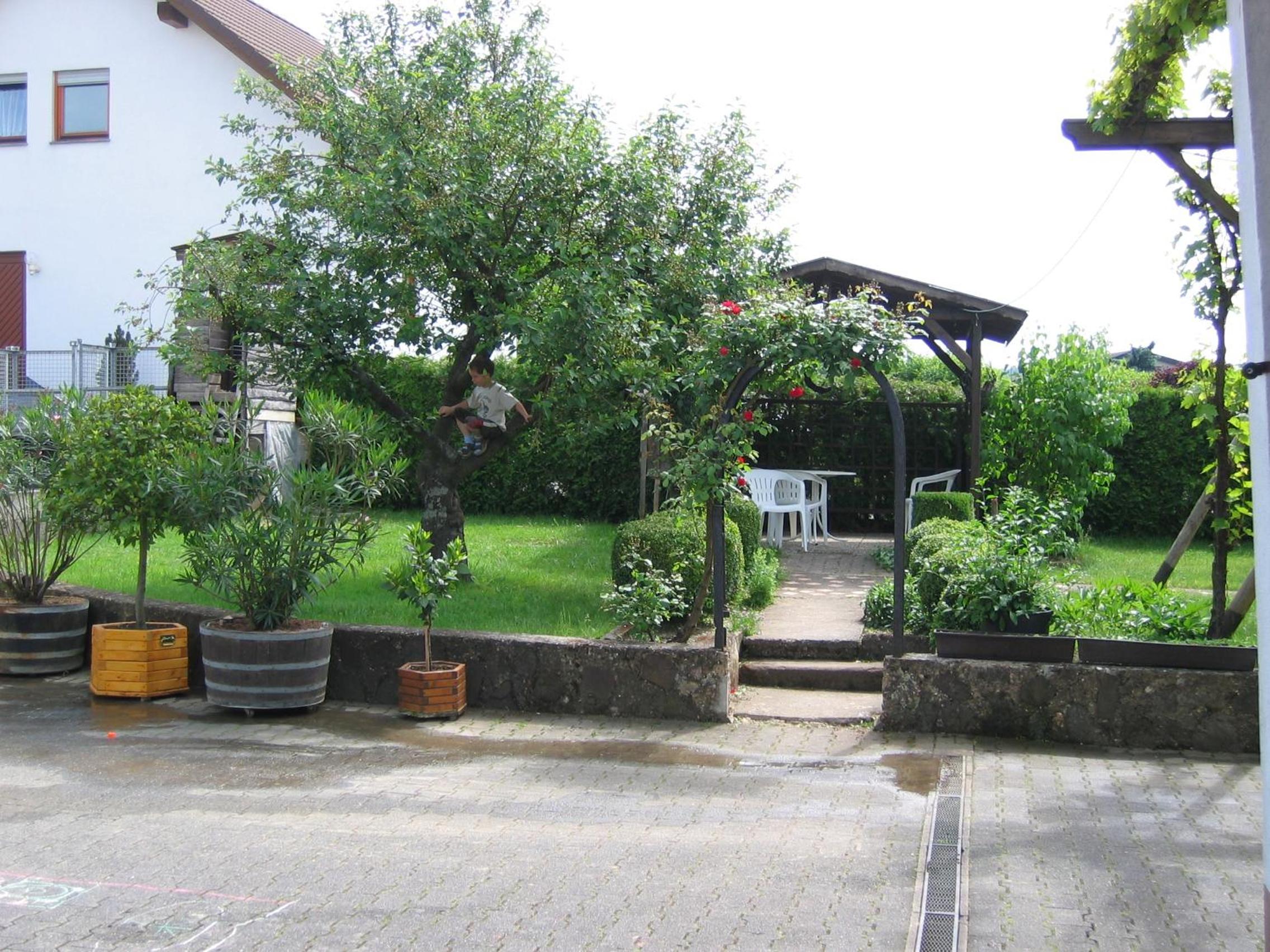 Weingut Arnold Pauly view 2