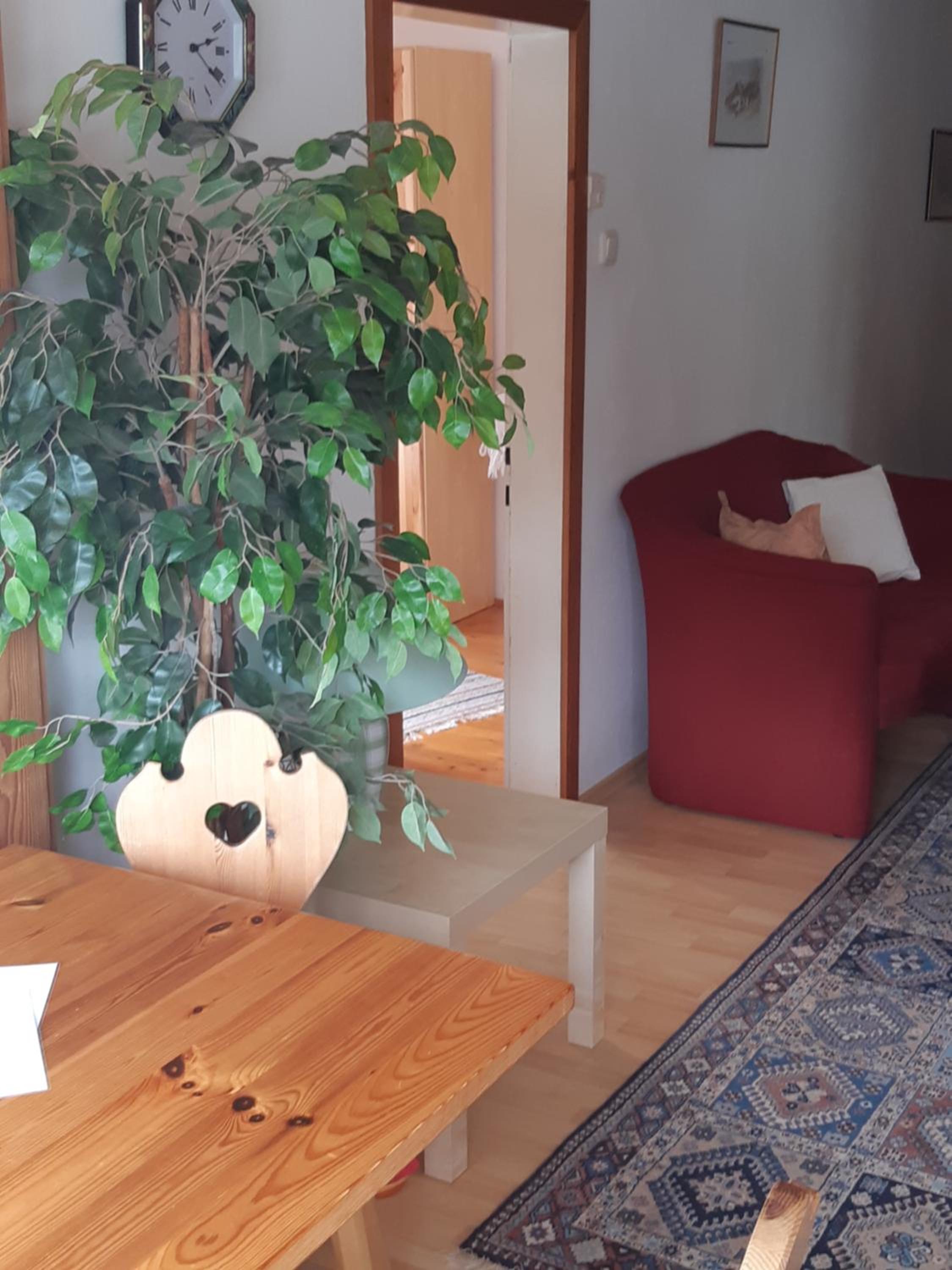 Appartements direkt am See