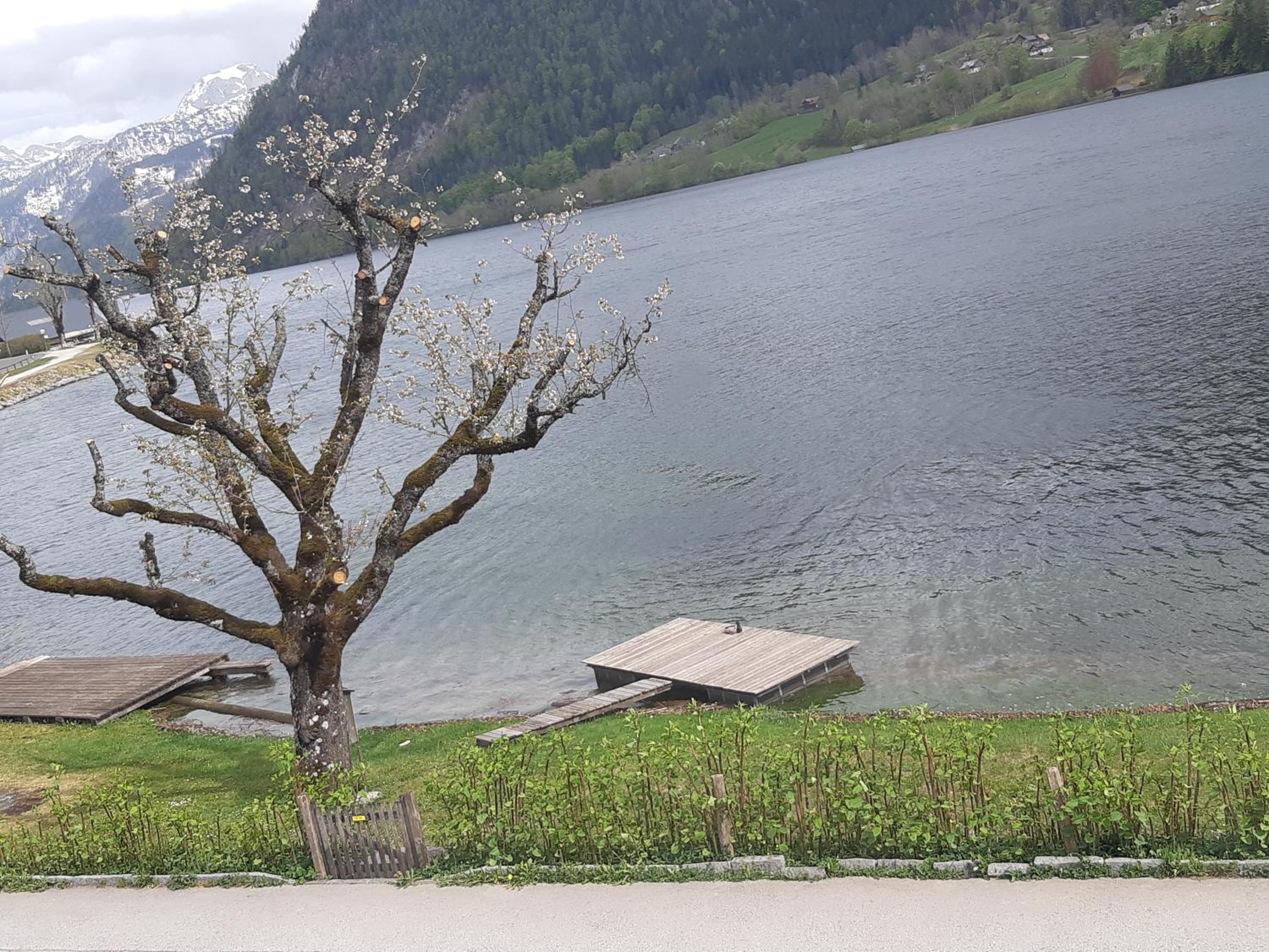 Appartements direkt am See