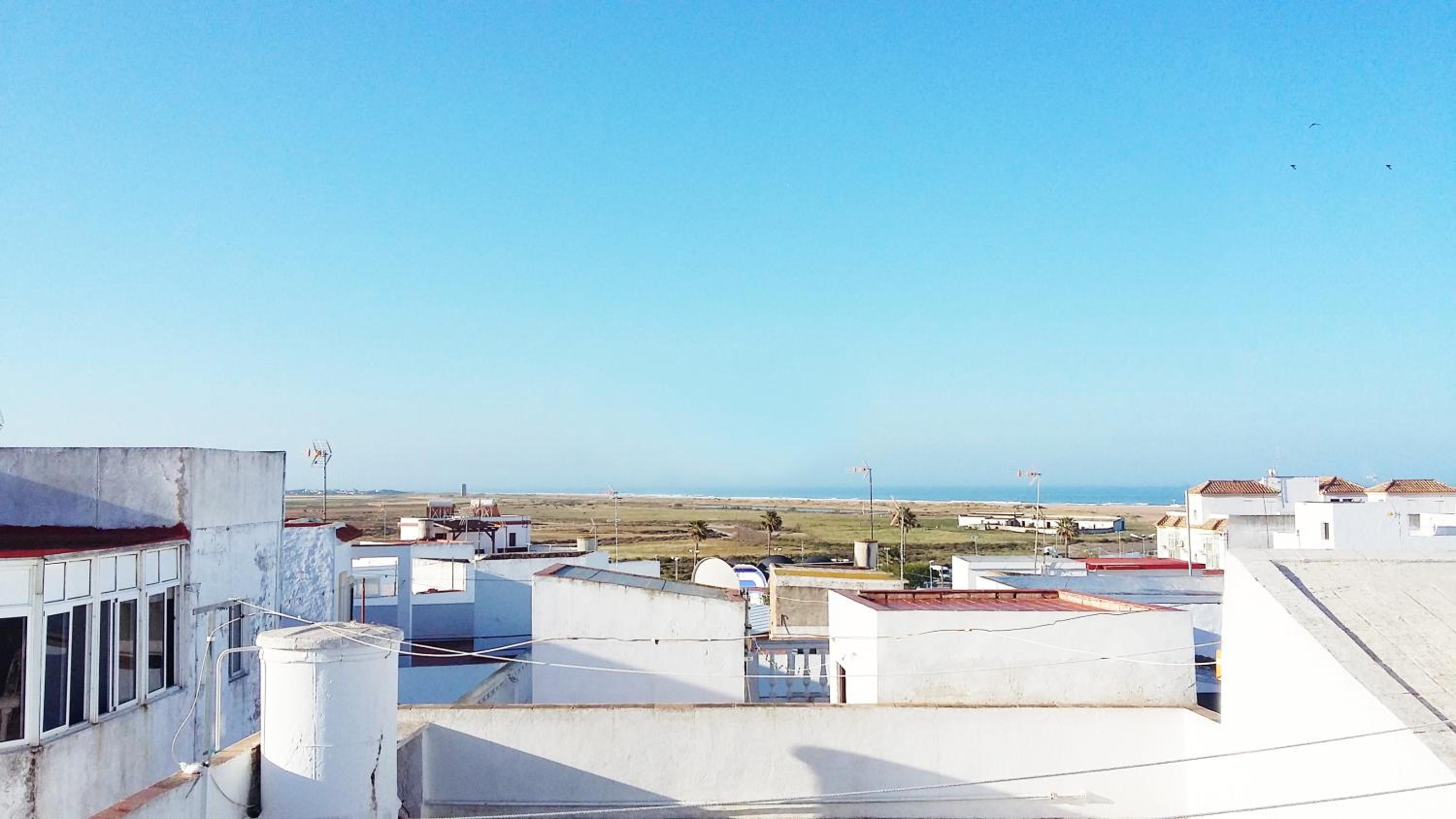 roof