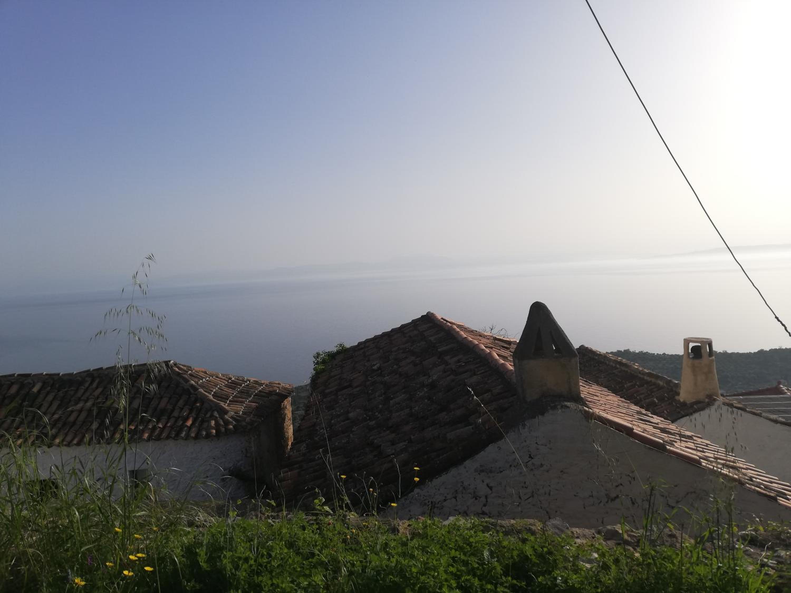 Photo 46