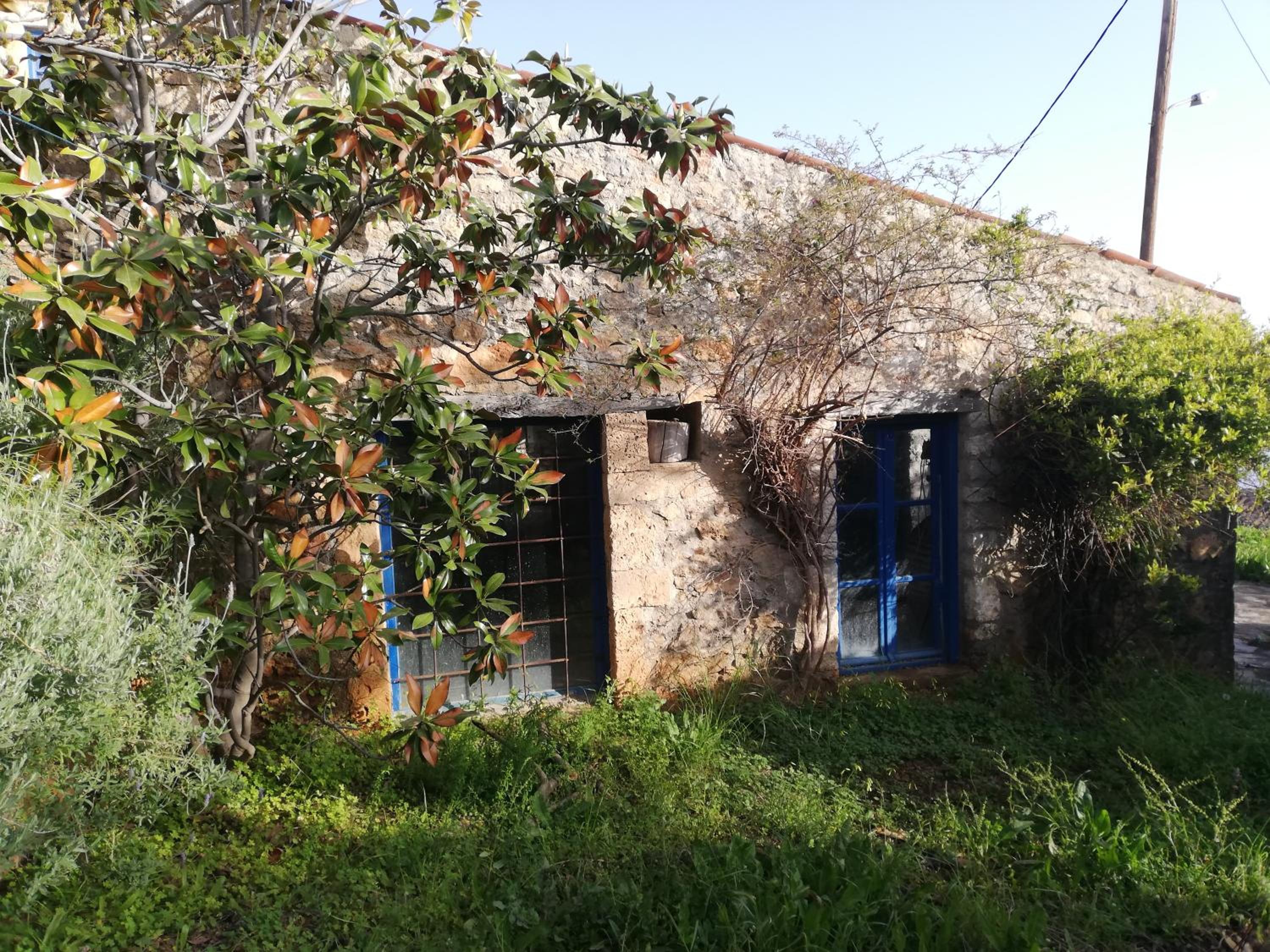 Photo 48