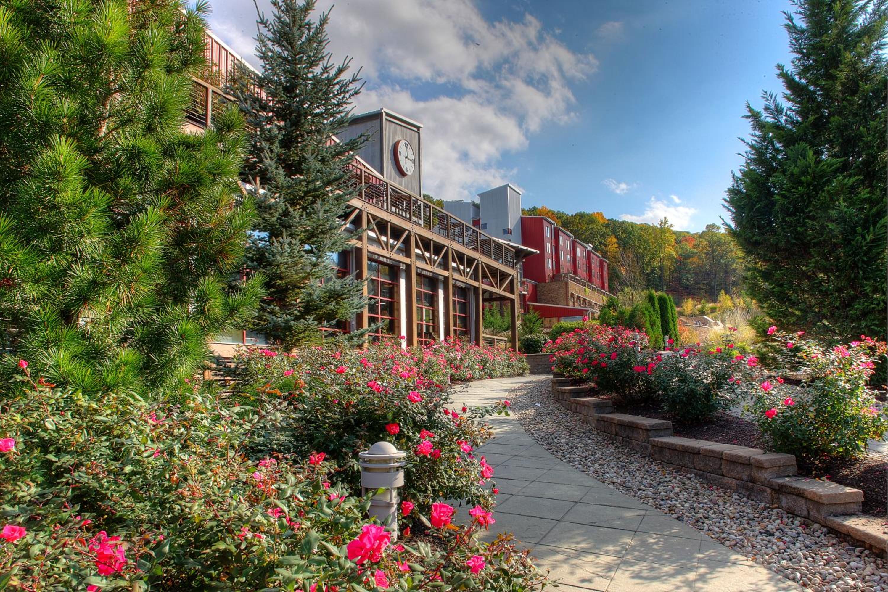 Hotel Bear Creek Mountain Resort