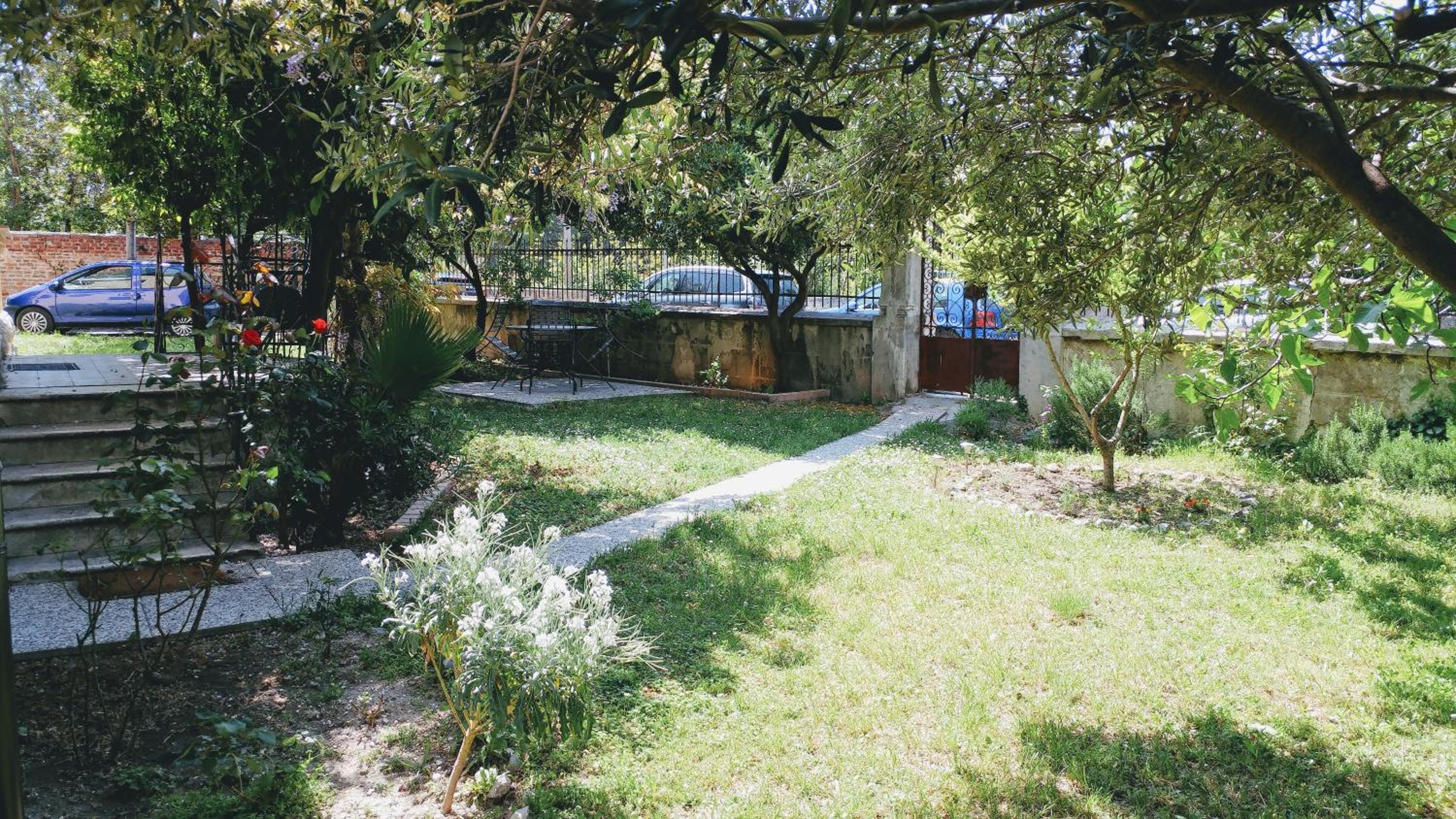 Photo 48