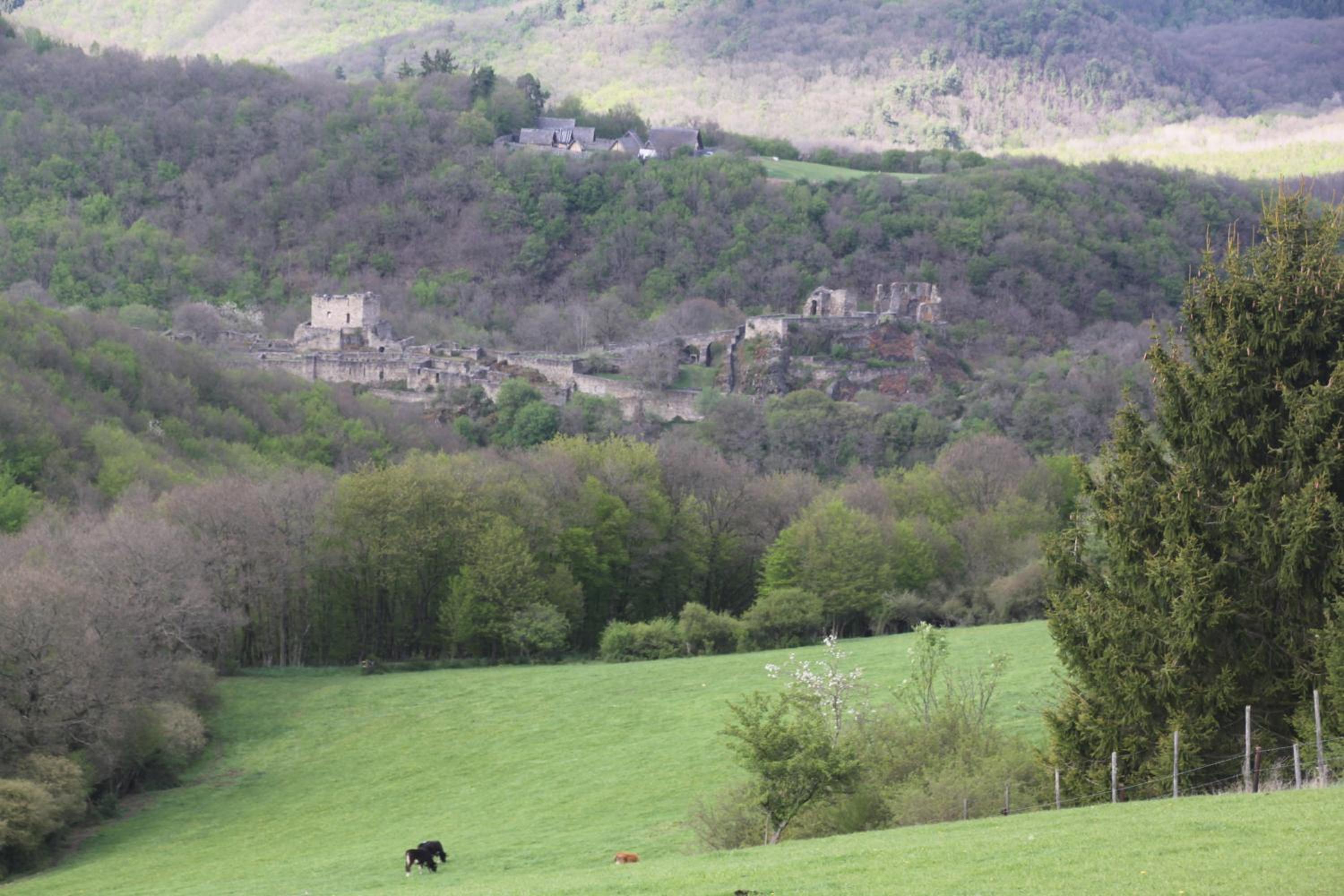 fewogriebelschied