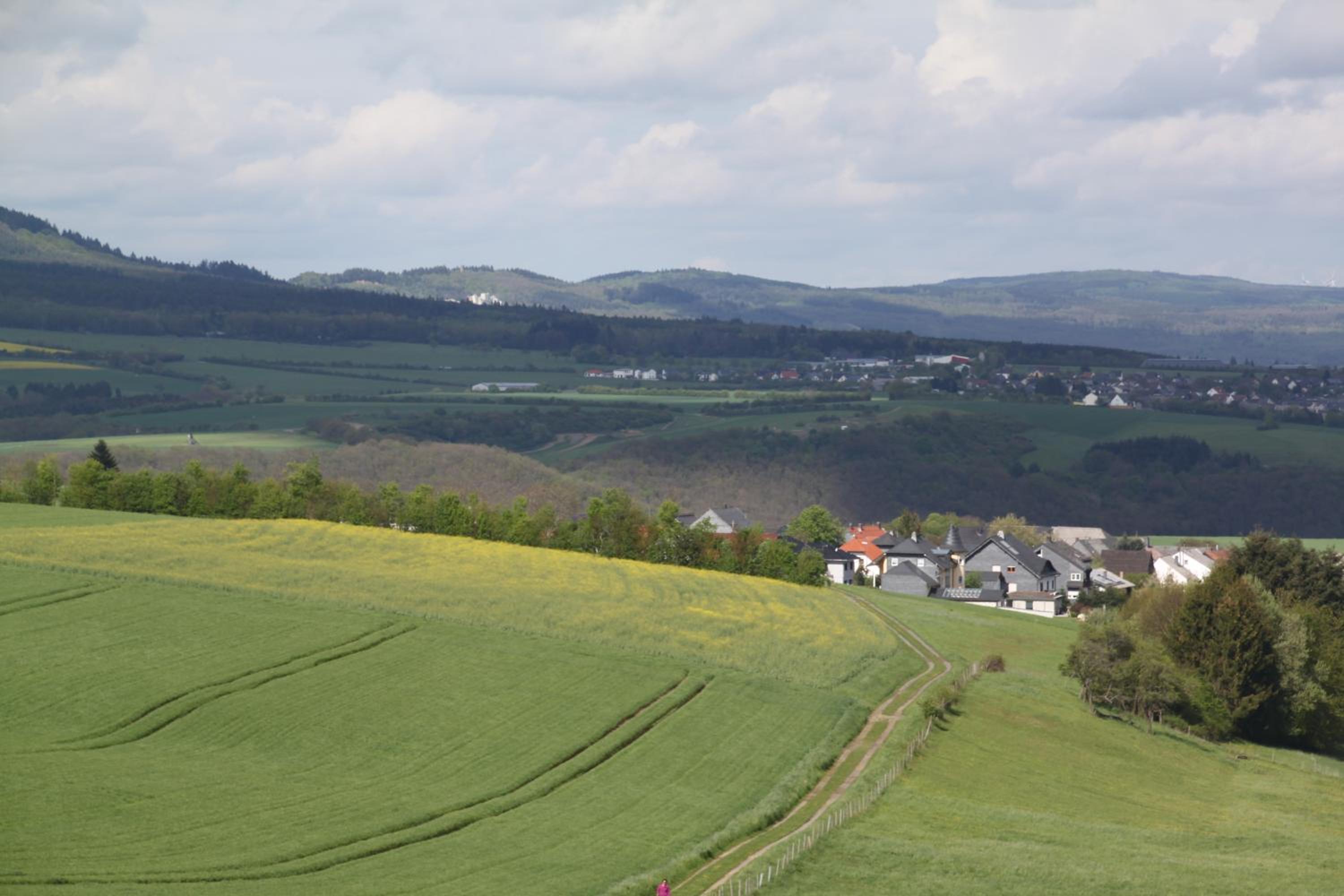 fewogriebelschied