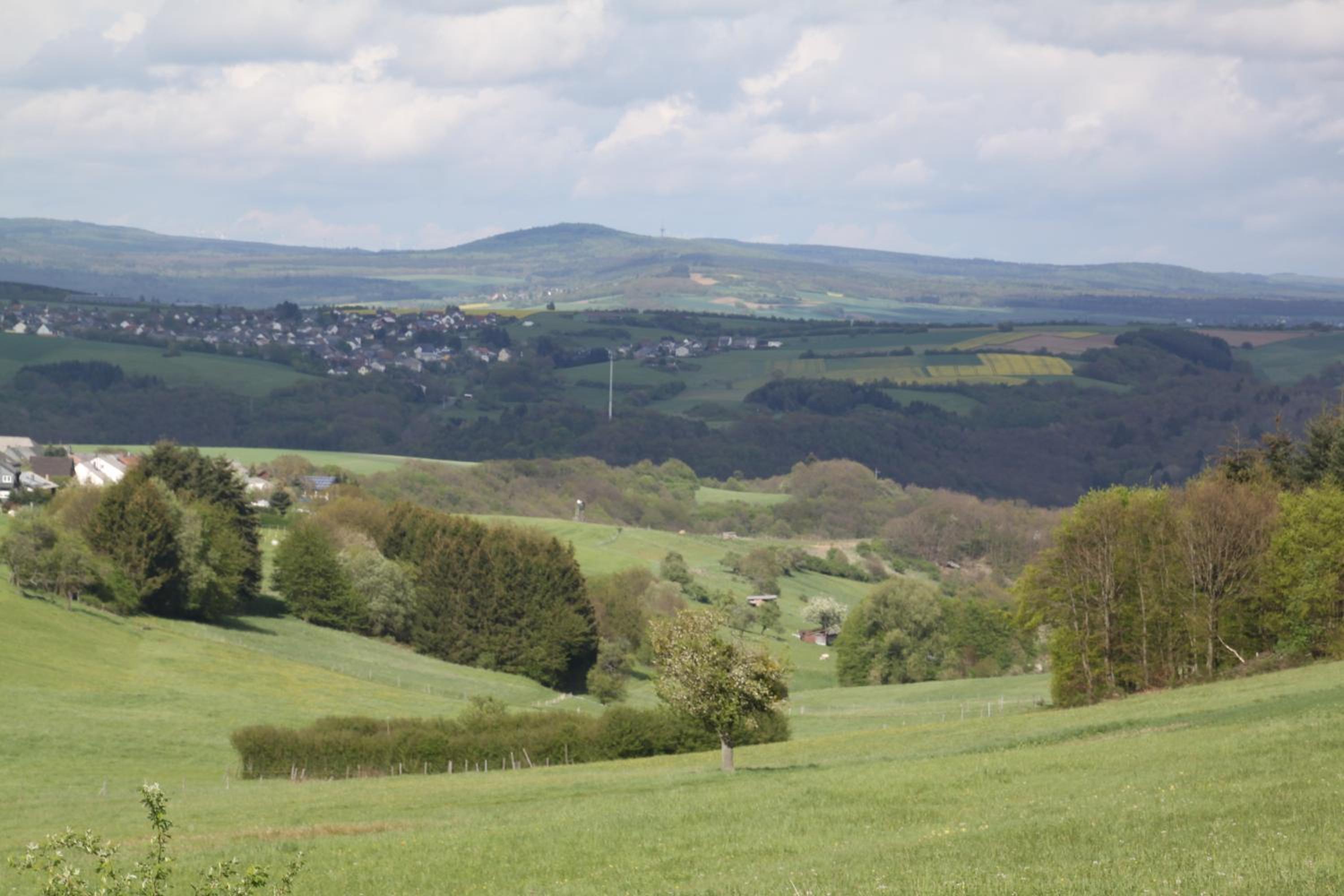 fewogriebelschied
