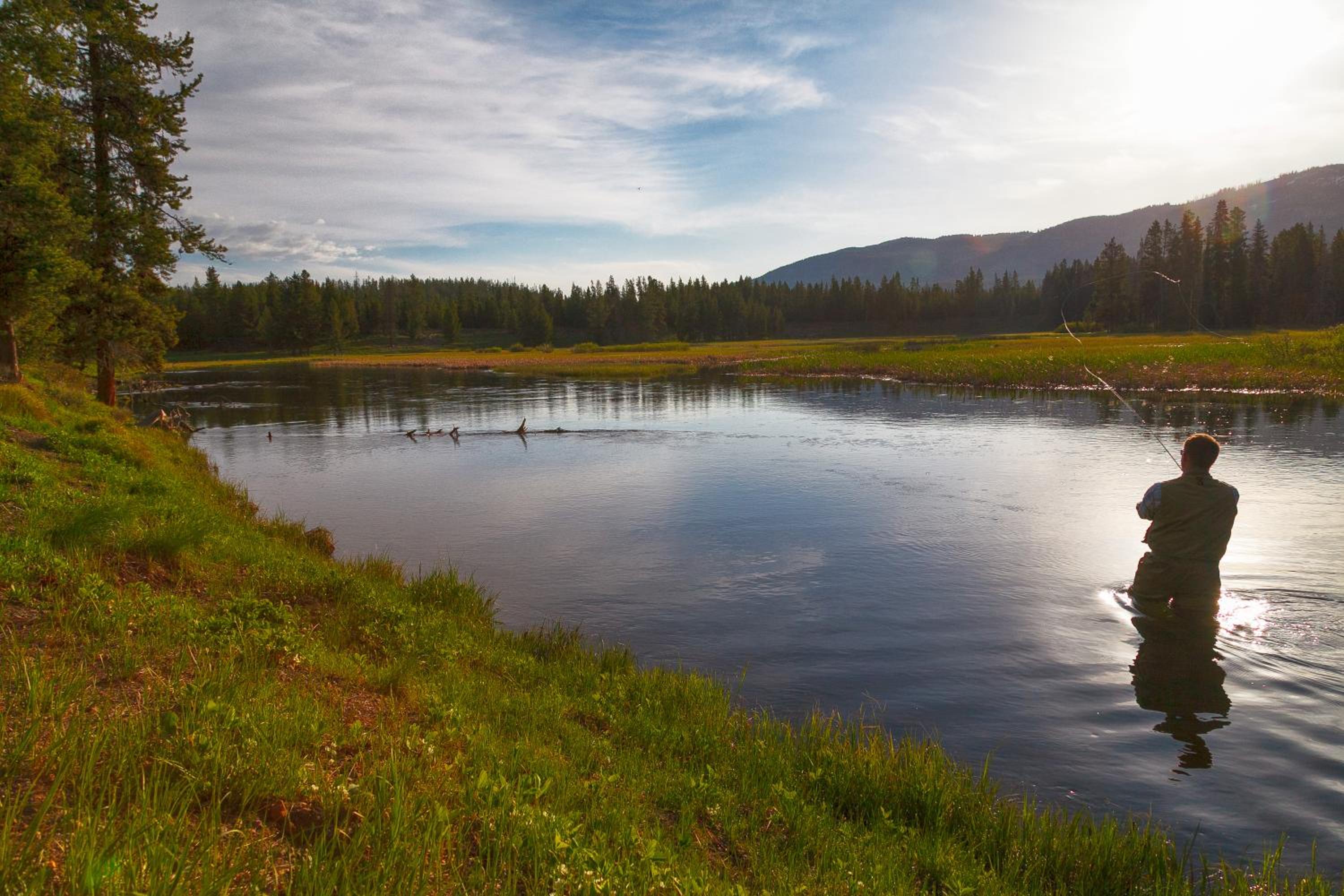 Moran Vacations - Headwaters Lodge  Cabins at Flagg Ranch - Property Image 2