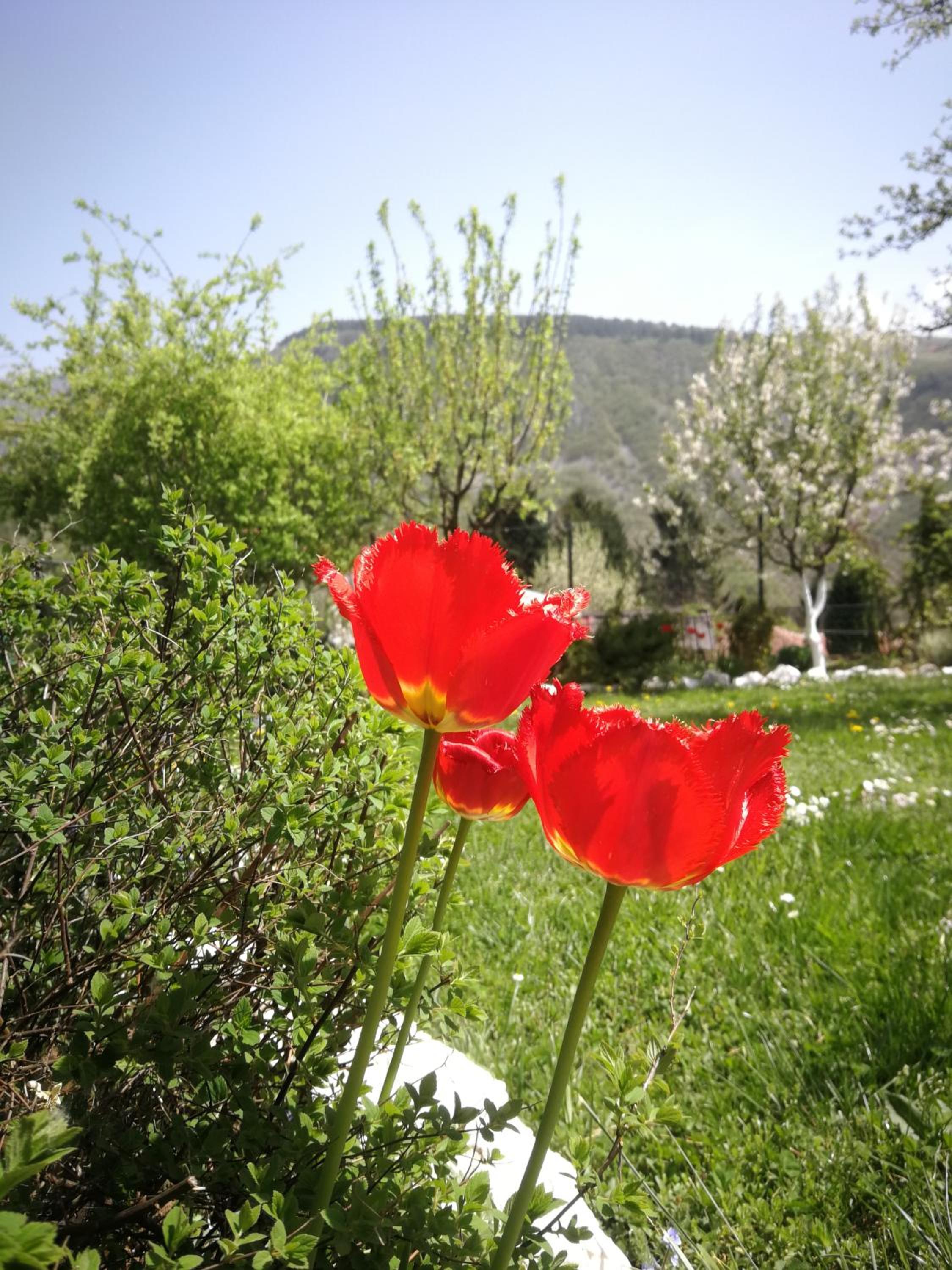 Photo 58
