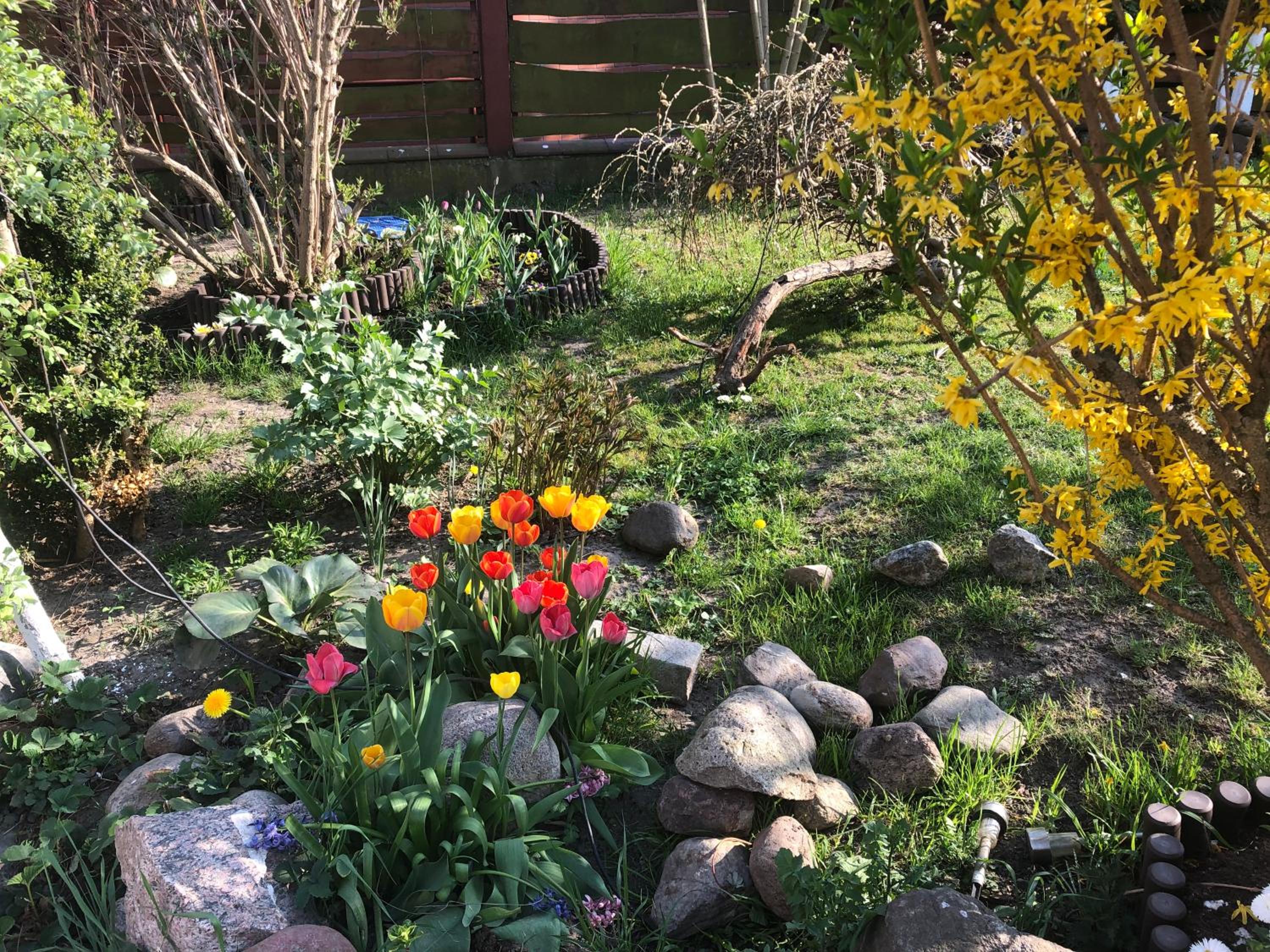 Photo 14