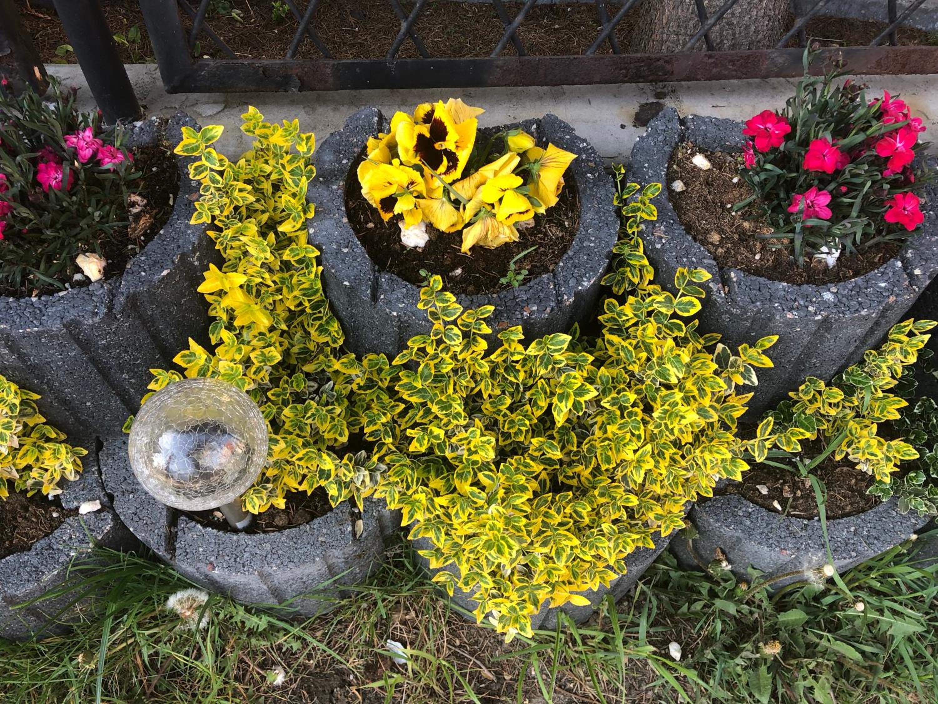 Photo 15