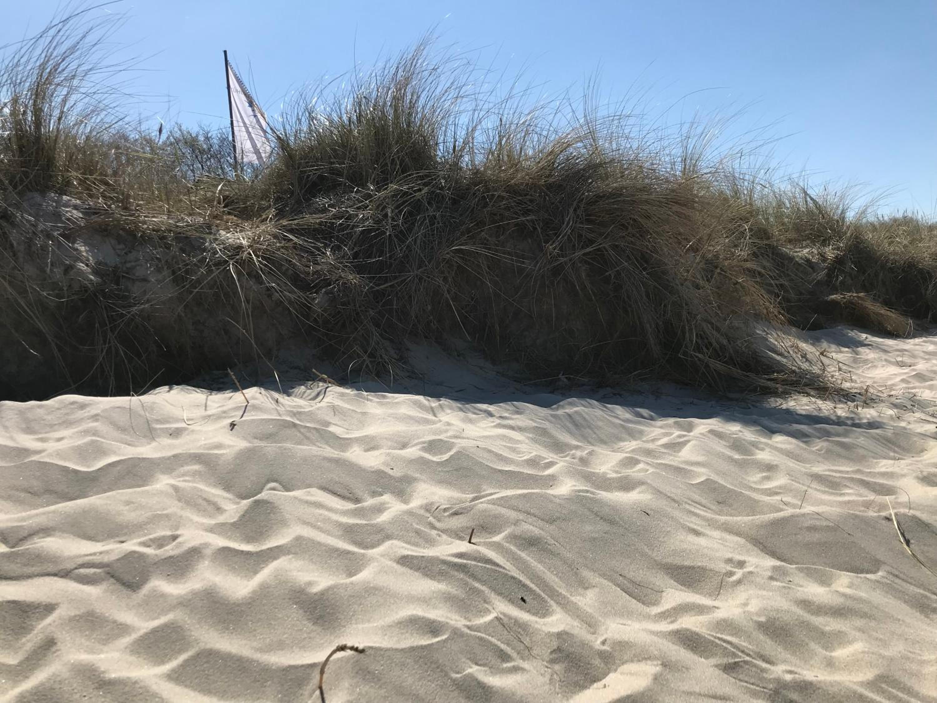Fewo Ostseetraum