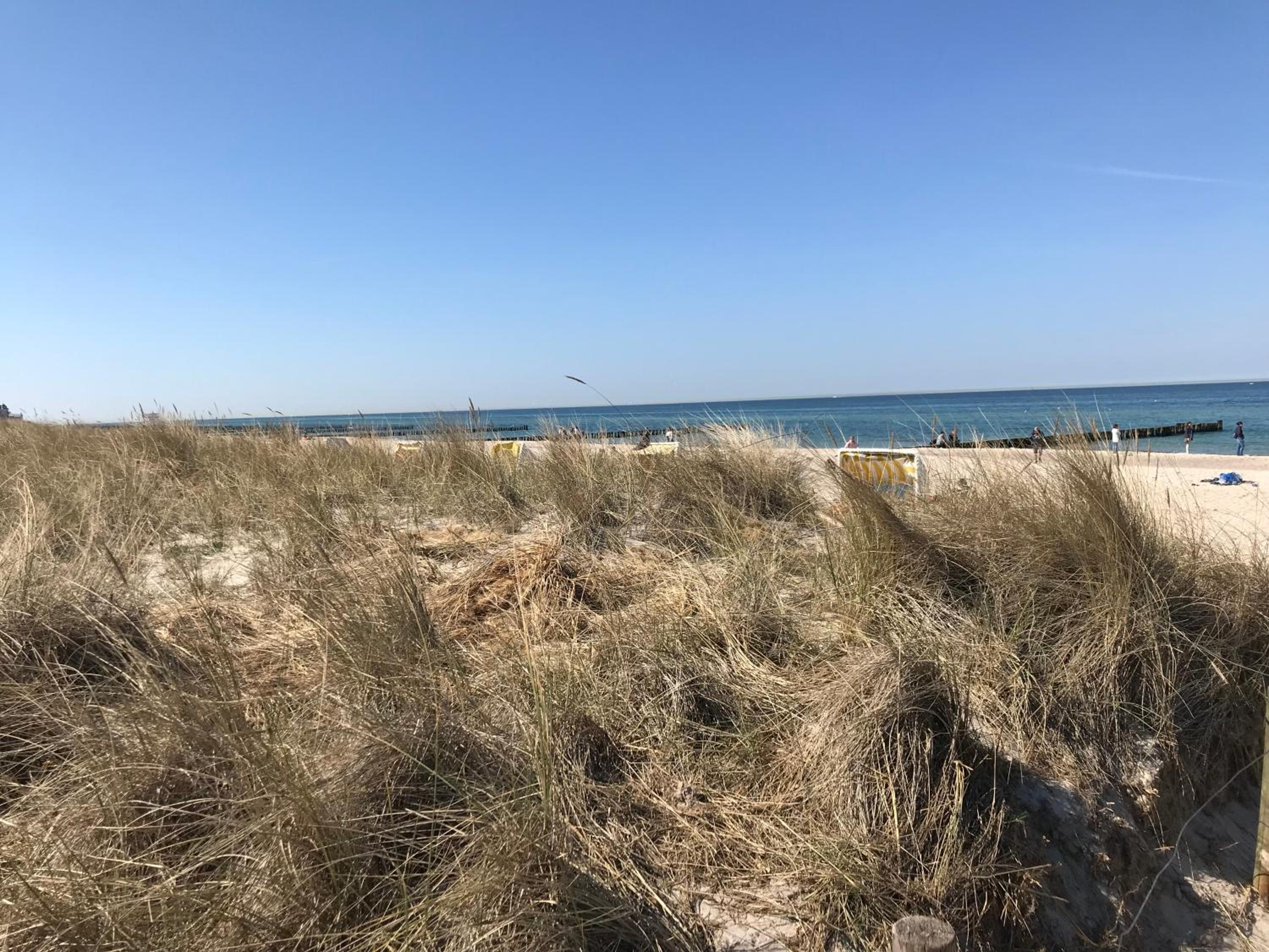 Fewo Ostseetraum