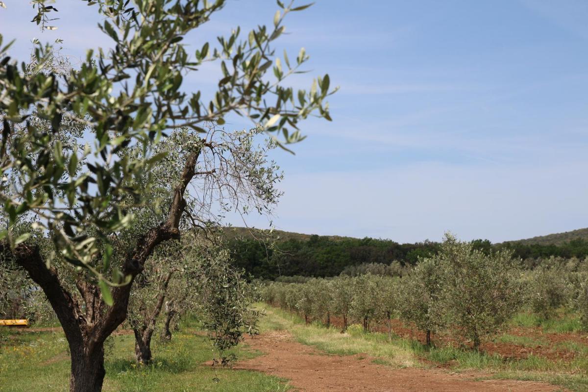 Agriturismo La Dolce Collina