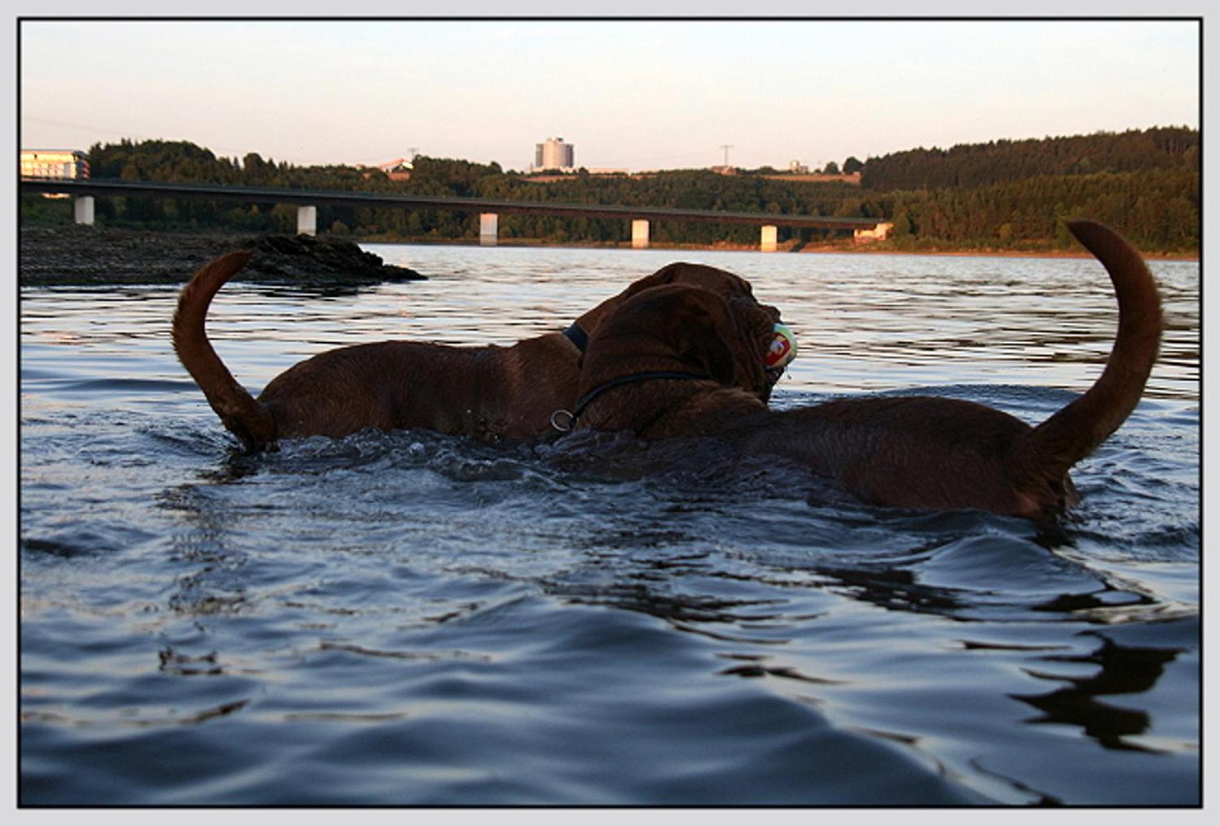 Photo 27