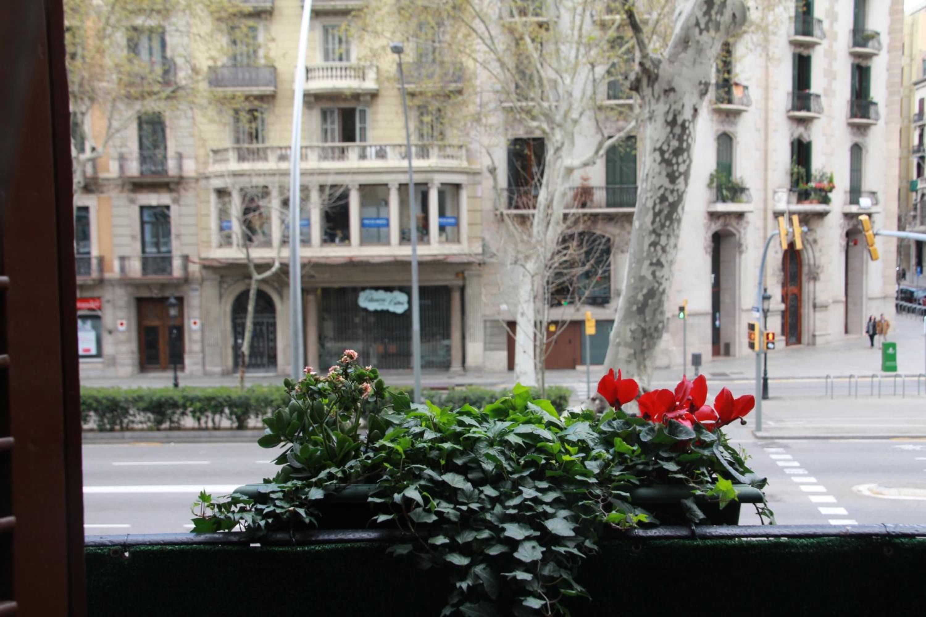 BUHO Boutique Rooms