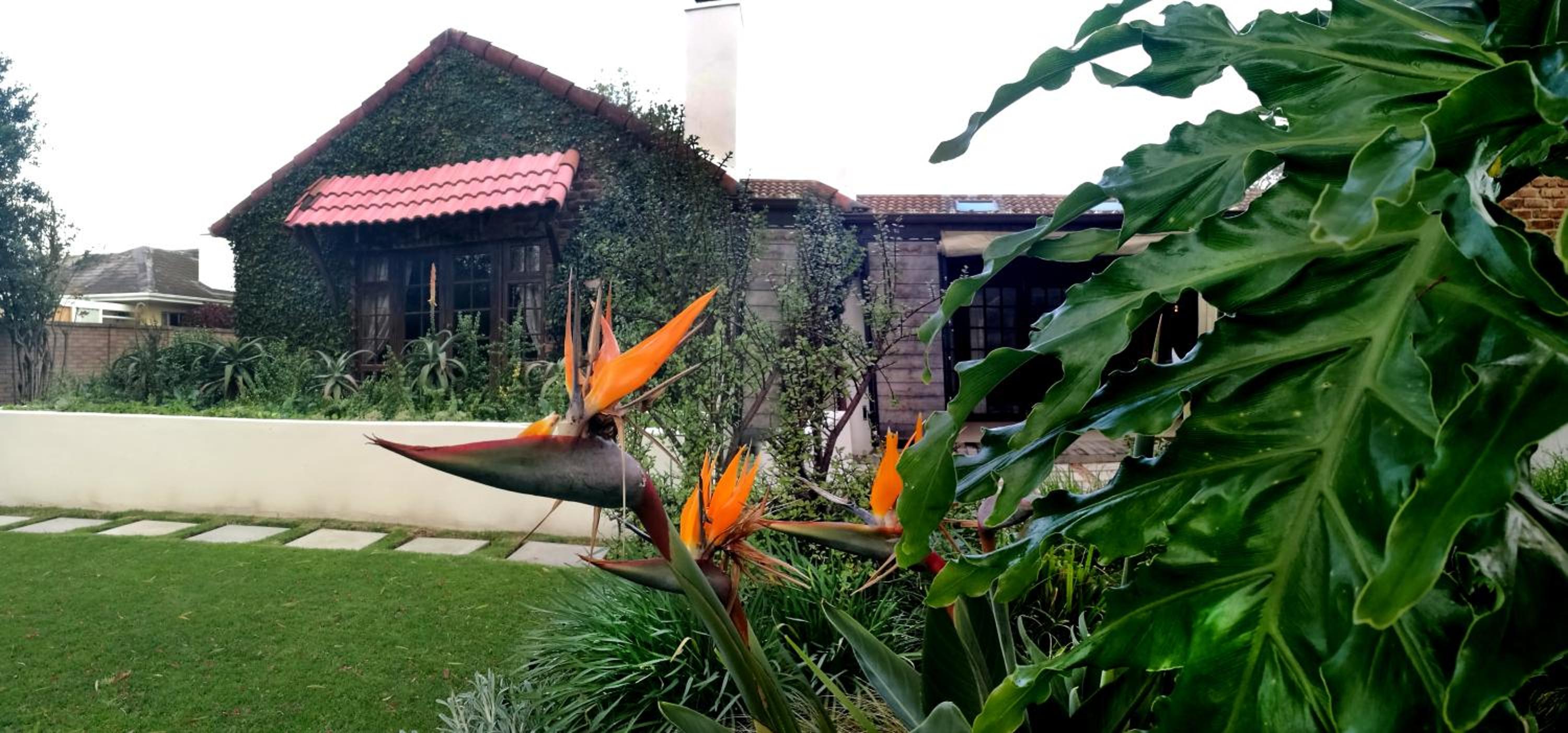 Gardenview Guest House view 3