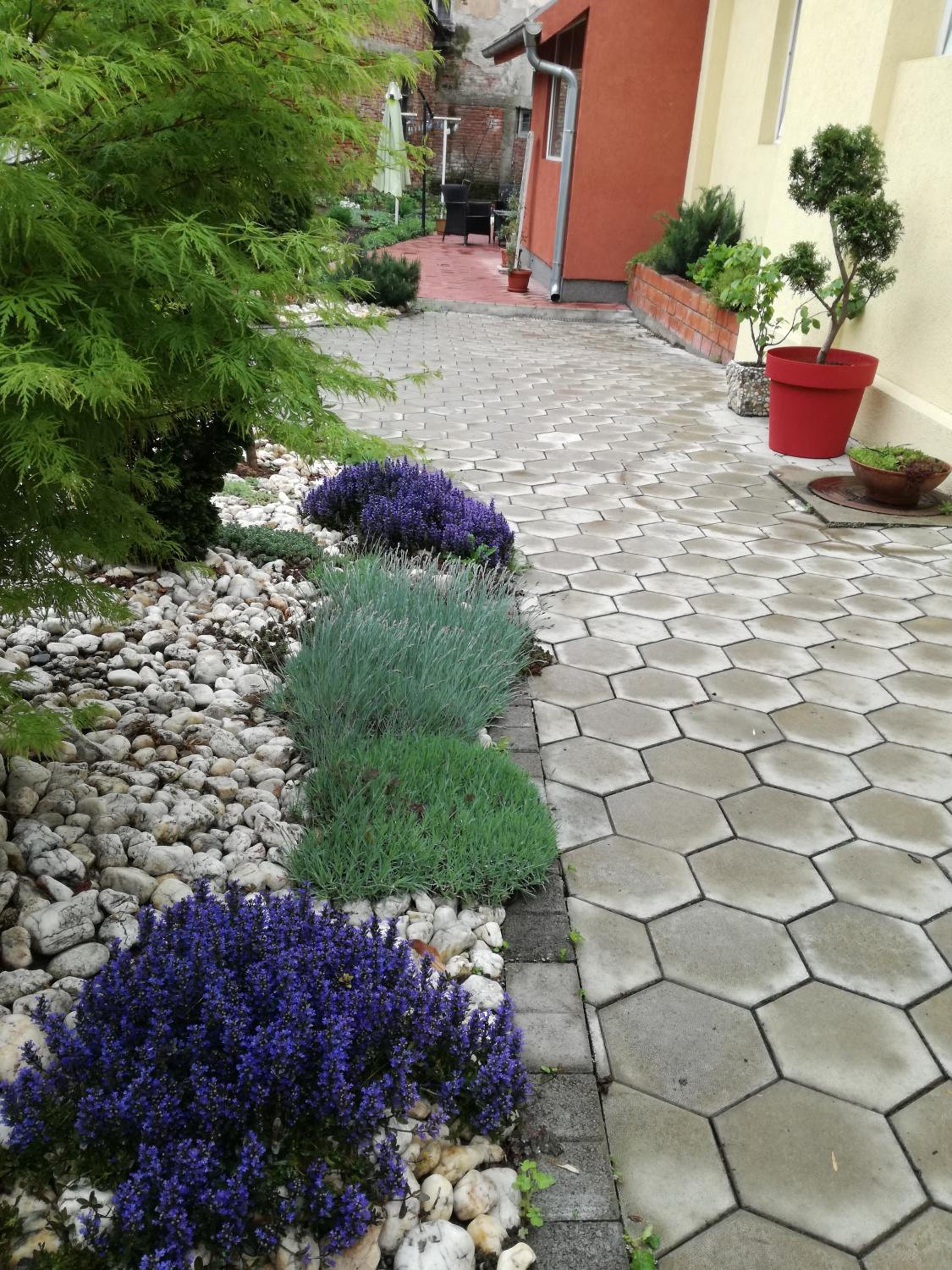 Photo 47