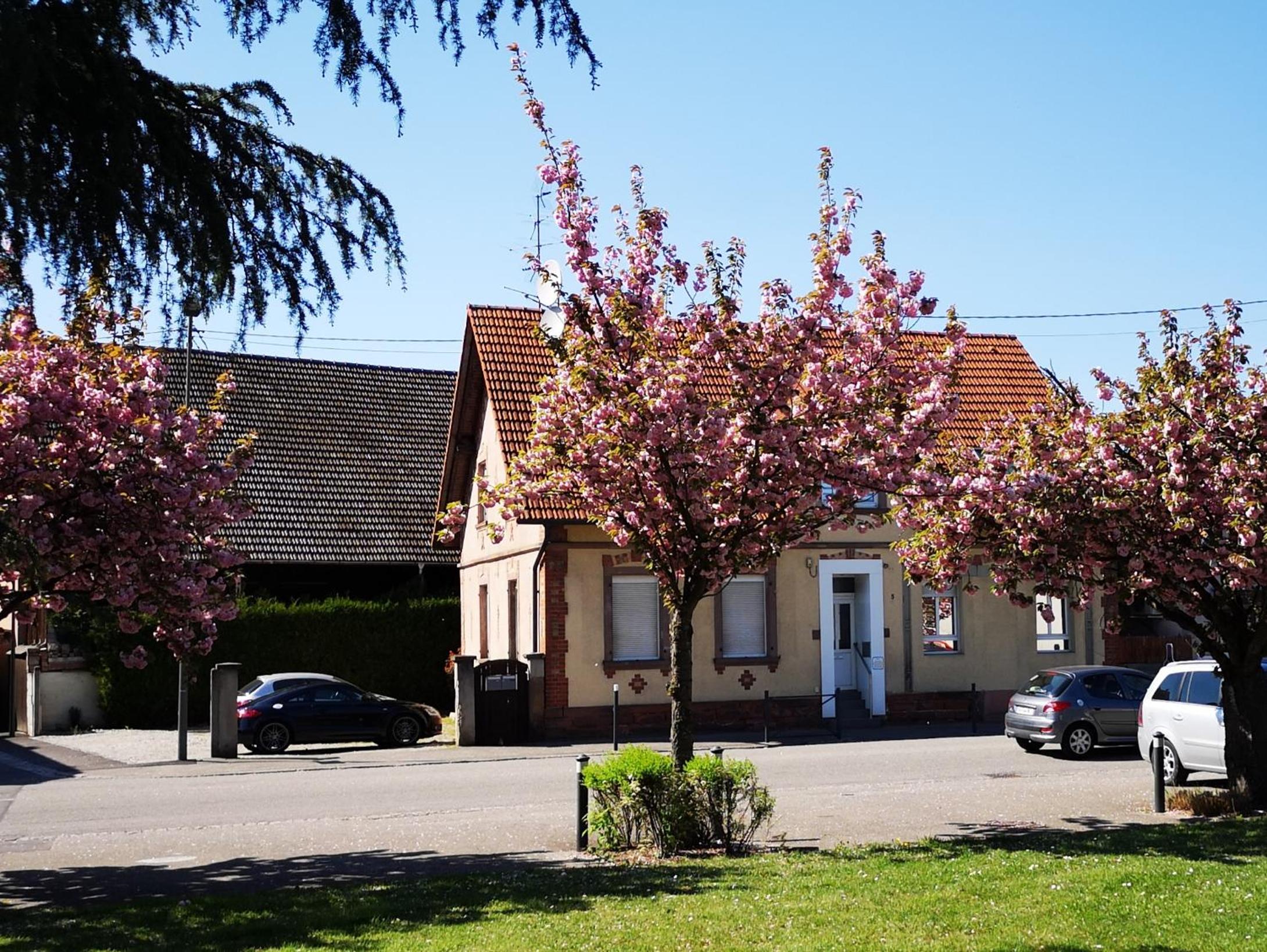 Photo 14